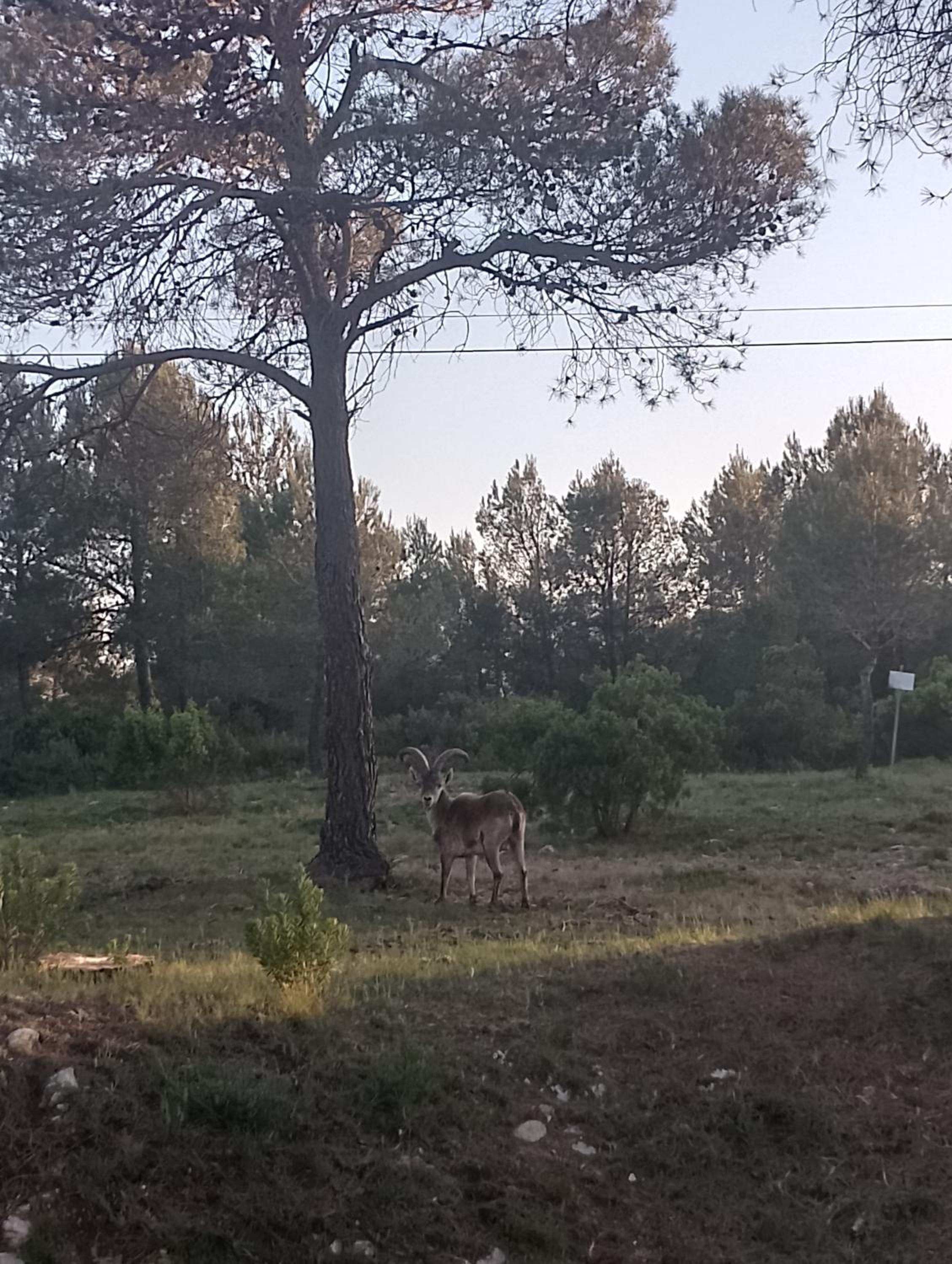 Casa Refugio Entre Pinos y Romeros