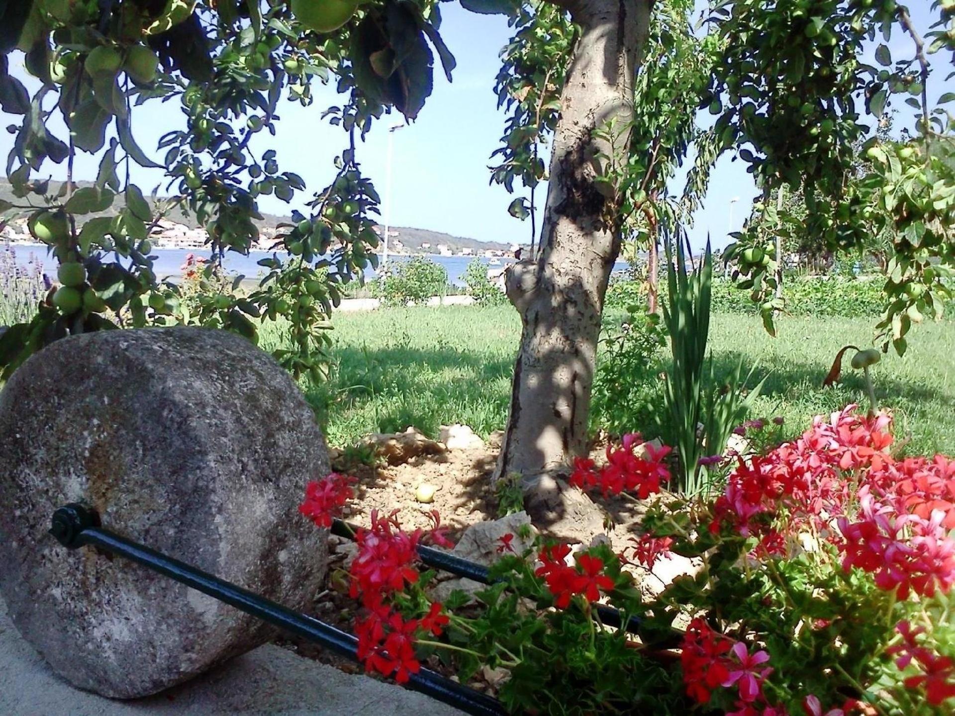 Photo 12