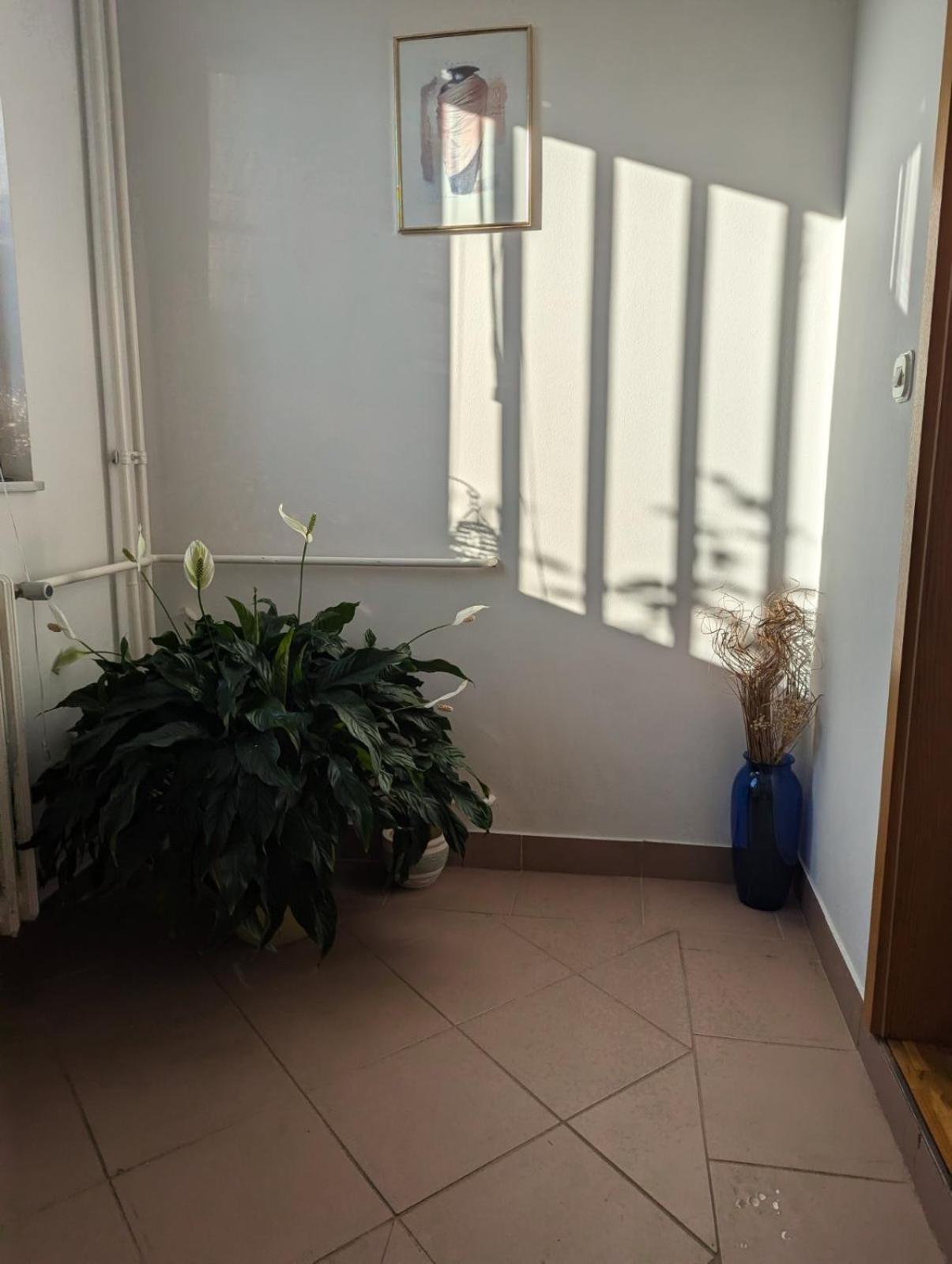Apartmani Nova Breka