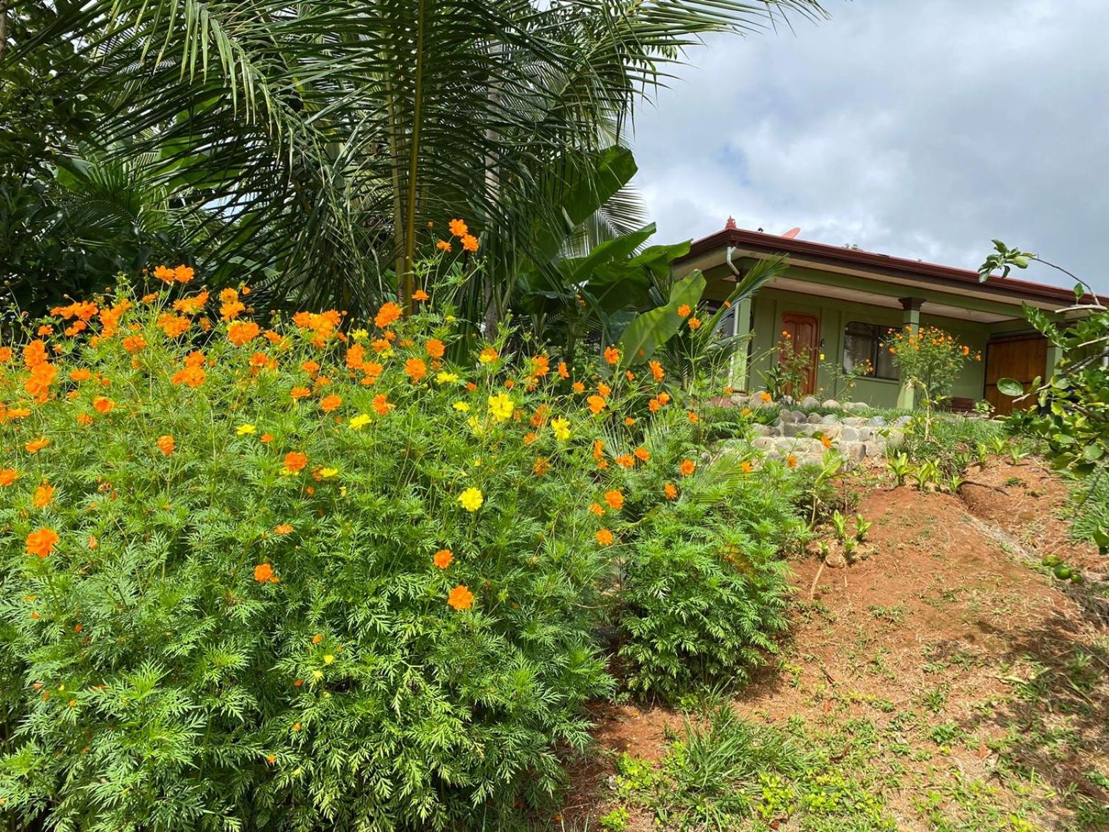 Casas La Chirincoca