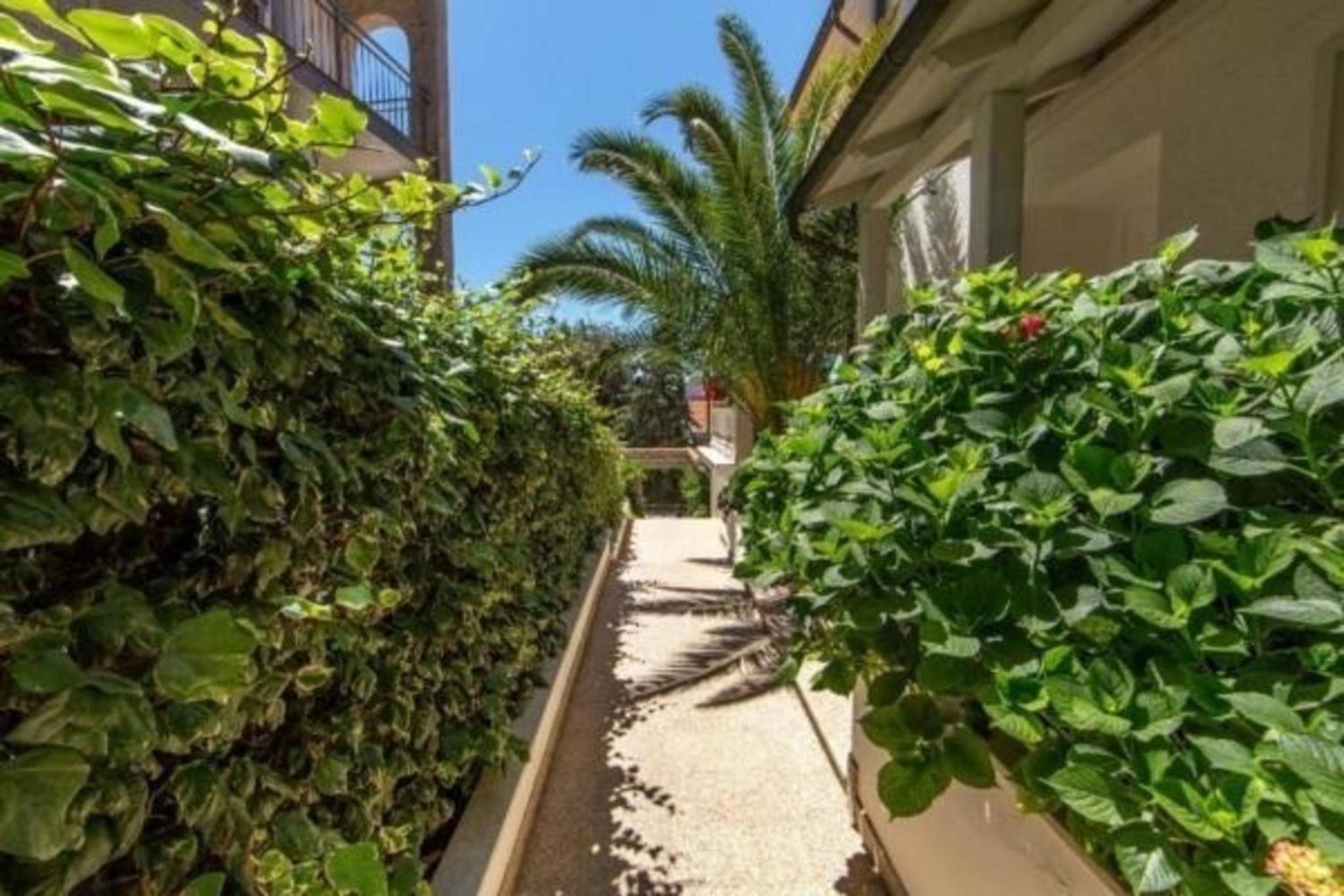 Wohnung in Pjescana Uvala mit Terrasse und Garten photo 3