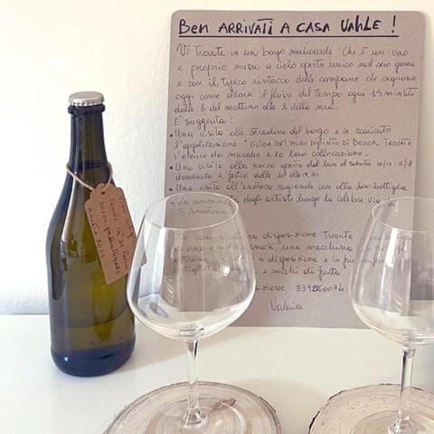 Casa Vahle