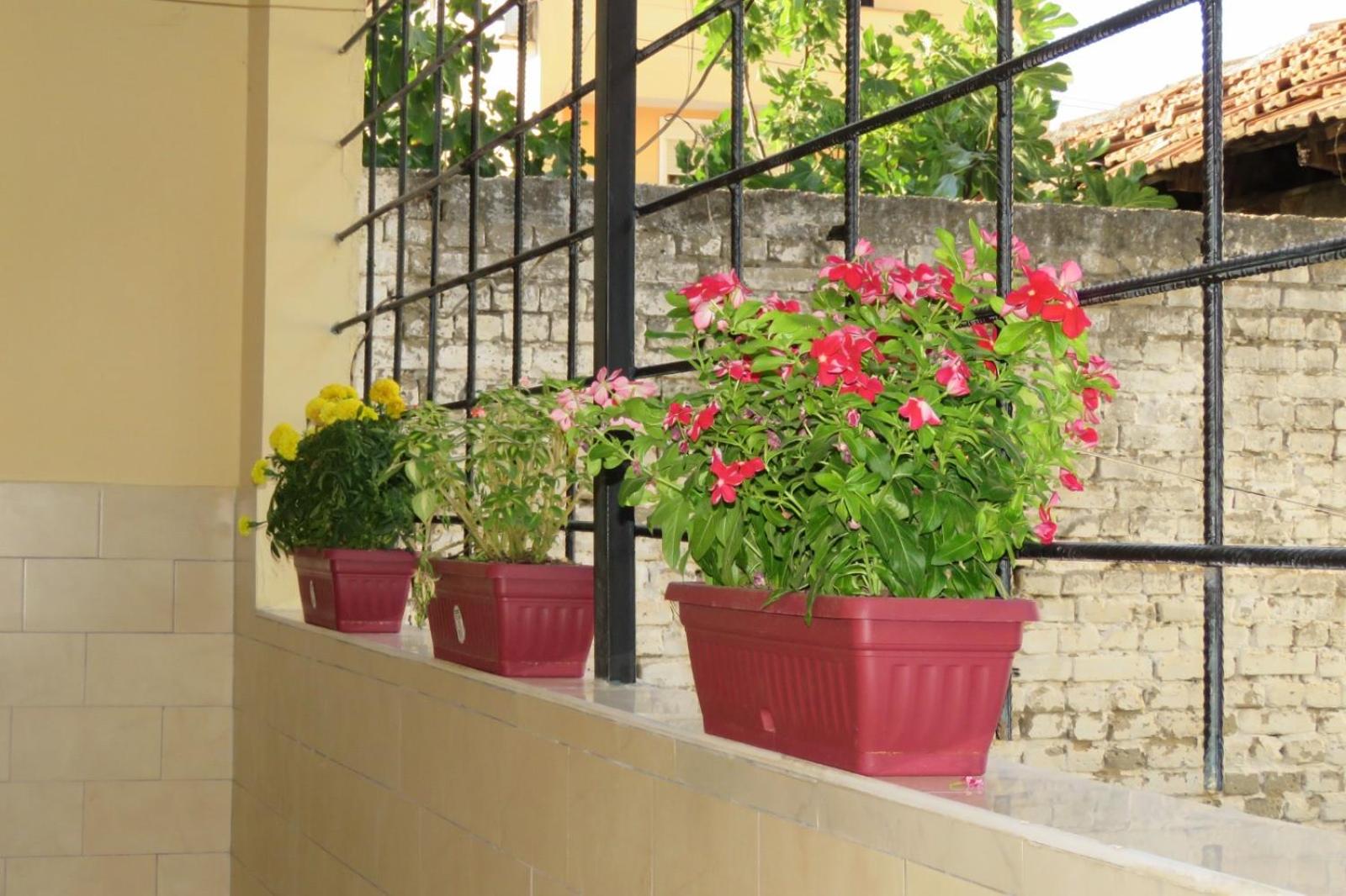 Cozy Apartment near City Center, Xhamlliku Tirana