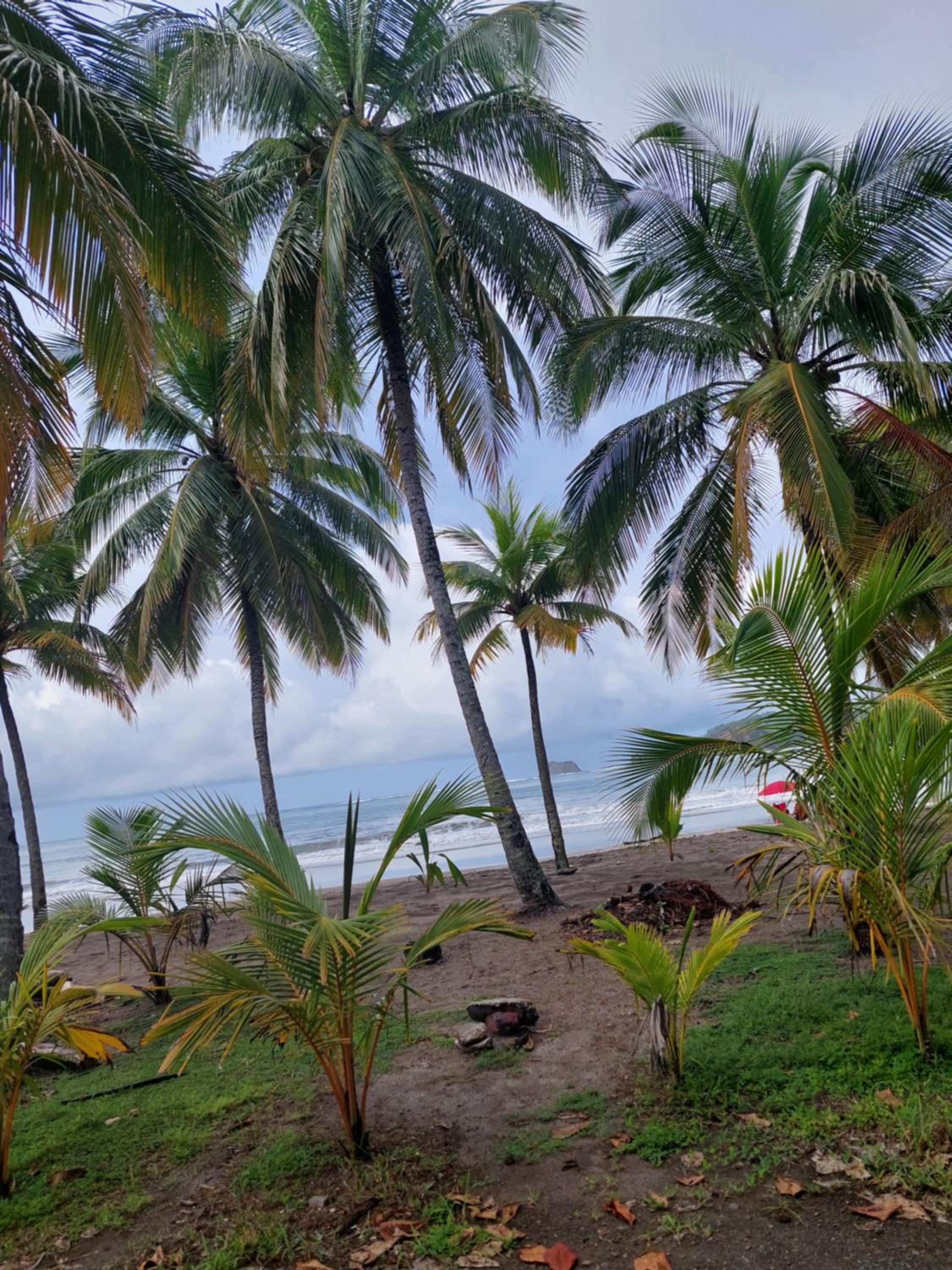 Casa Motmot