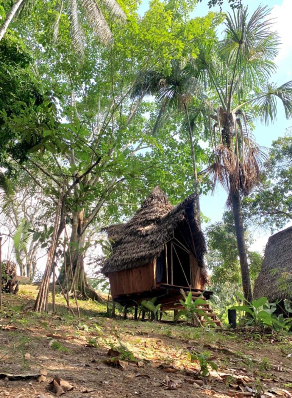 Jungle Cabin - Satori Natural
