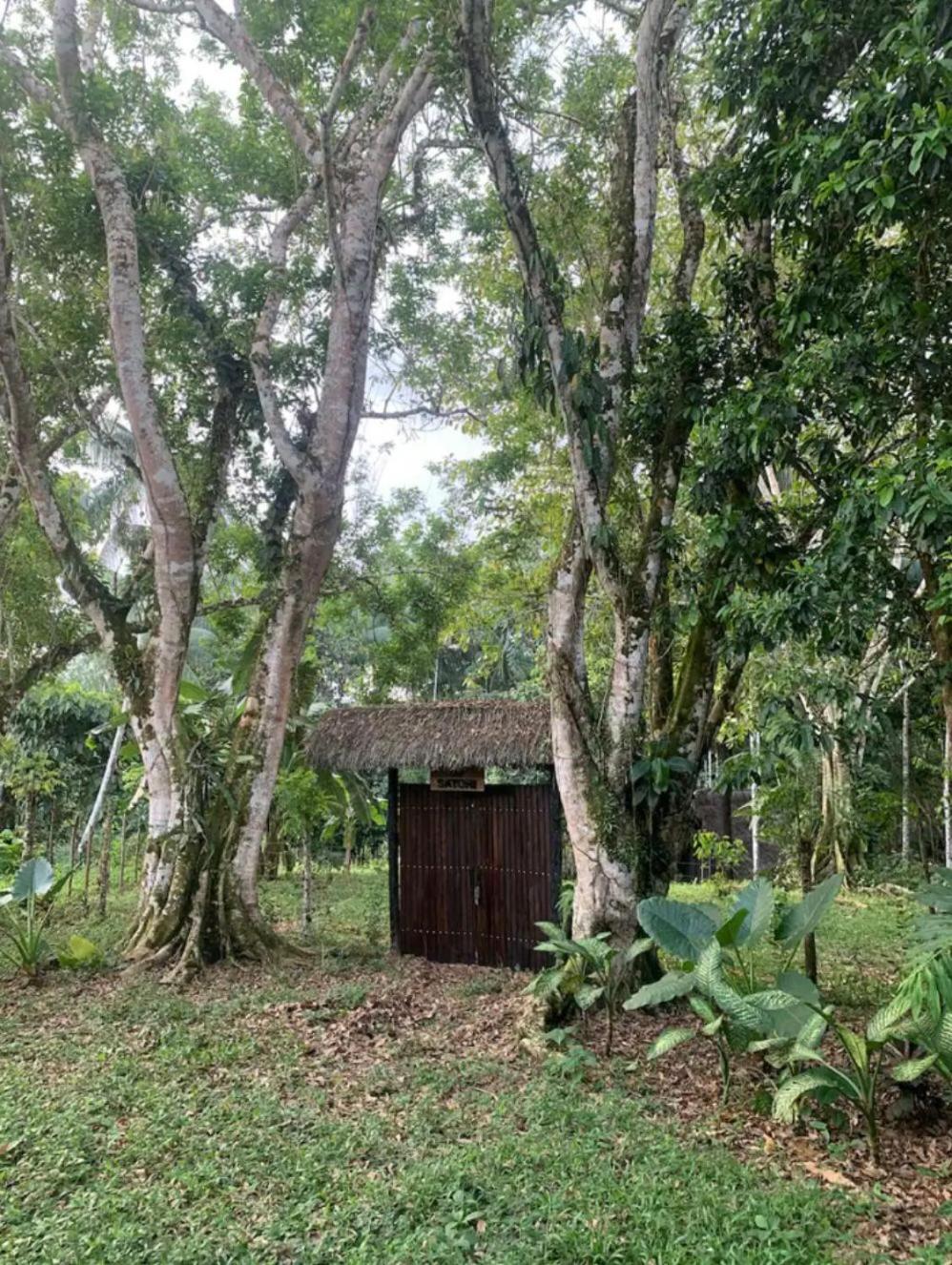 Jungle Cabin - Satori Natural