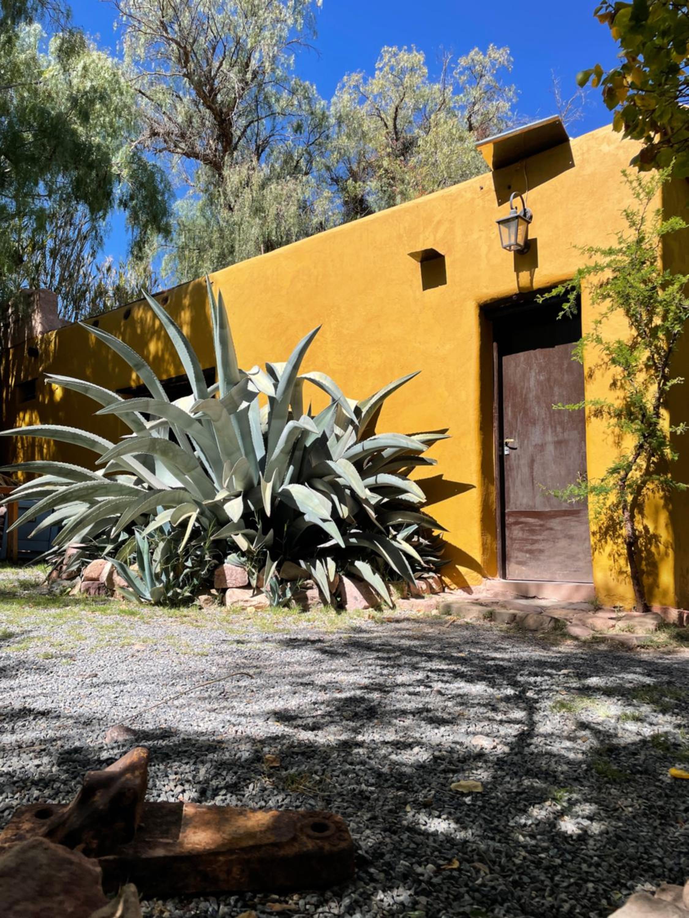 CasaLosMollesHostel