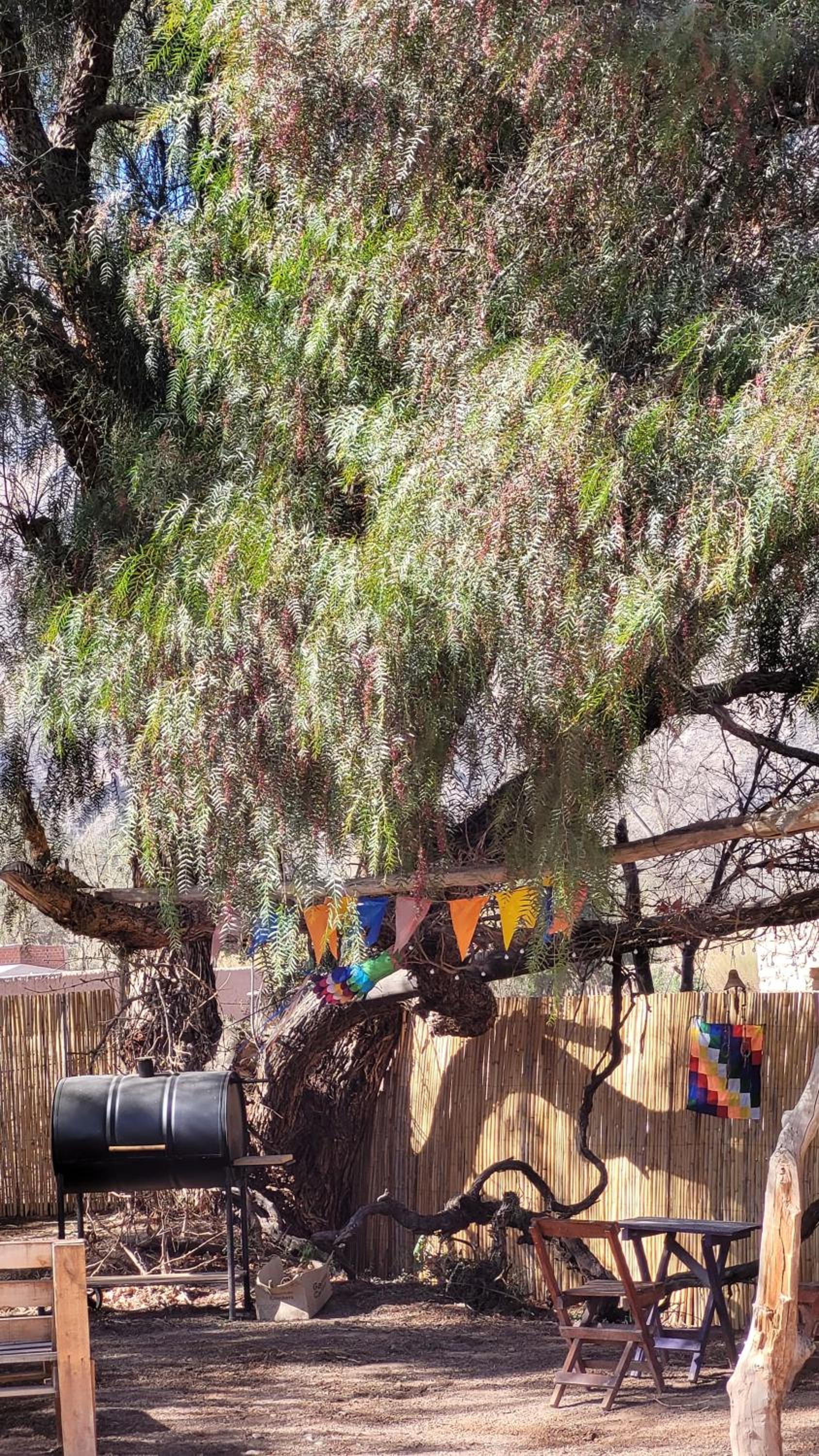 Cabañas APU