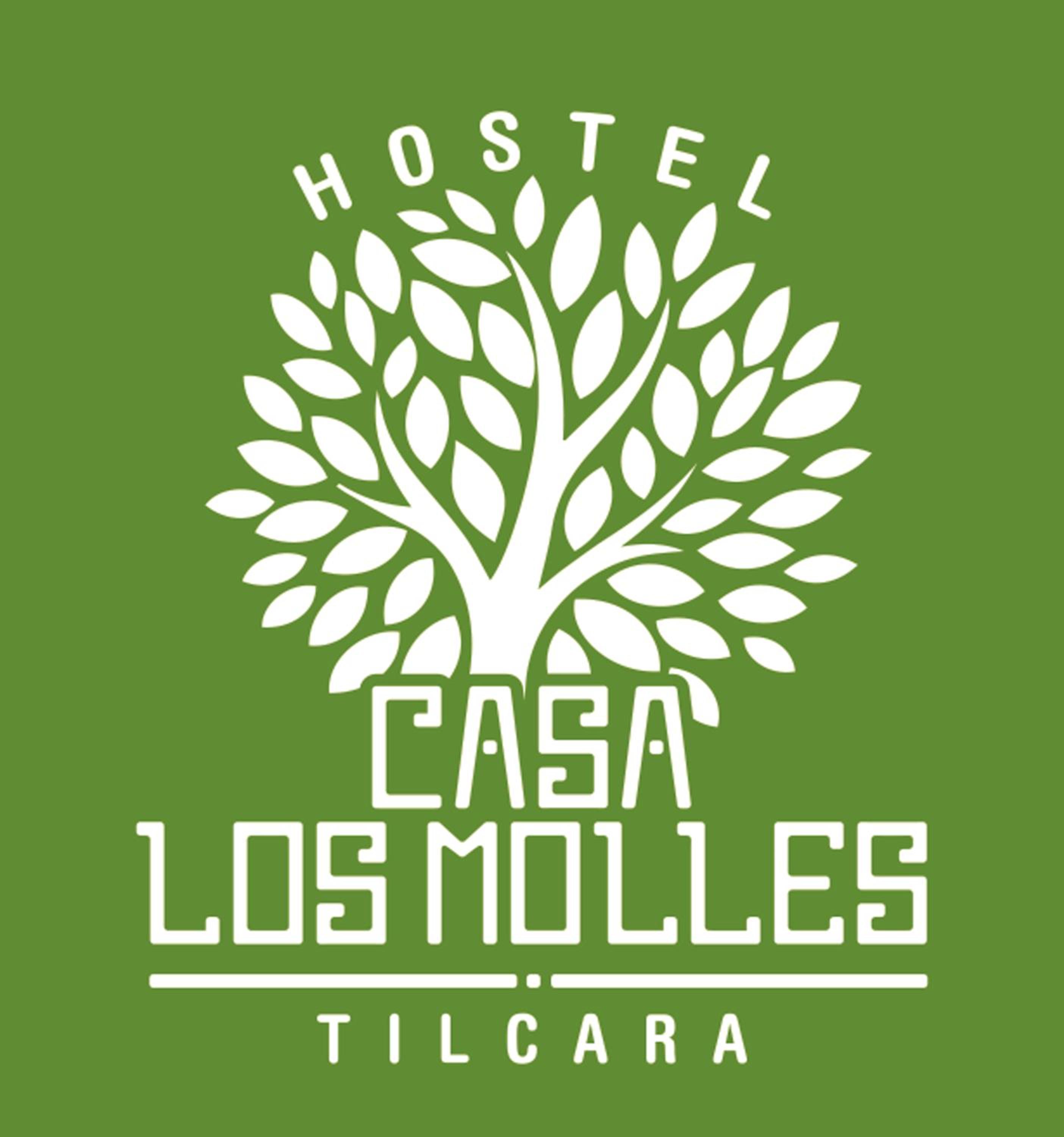CasaLosMollesHostel