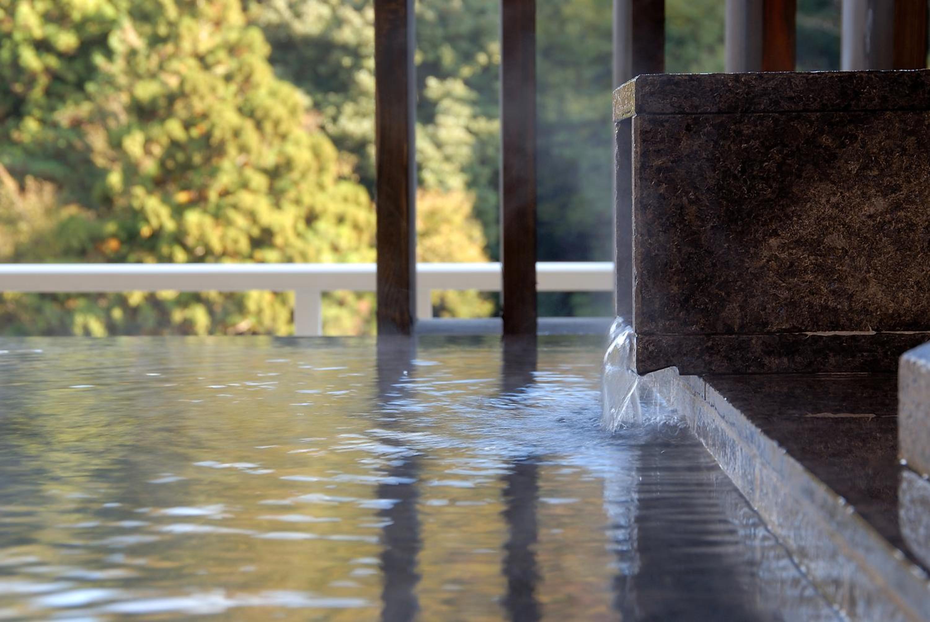 Hakone Suimeisou