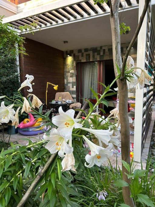 Dreamland Oasis Private garden