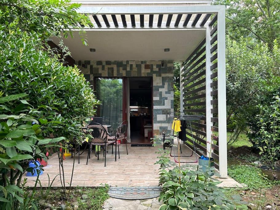 Dreamland Oasis Private garden