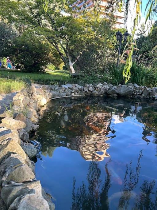 Dreamland Oasis Private garden