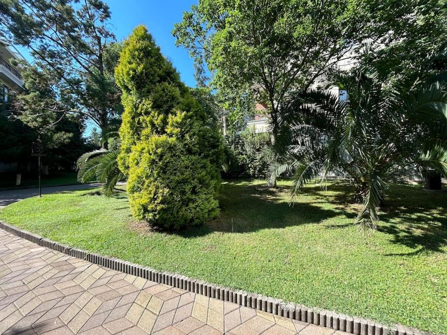 Dreamland Oasis Private garden
