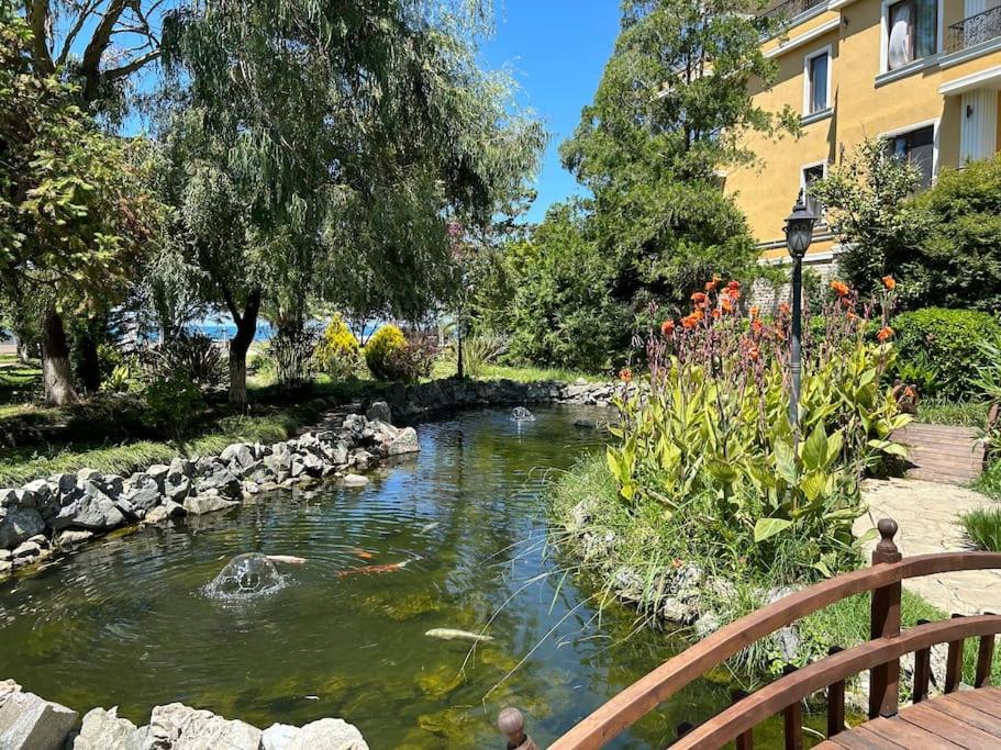 Dreamland Oasis Private garden