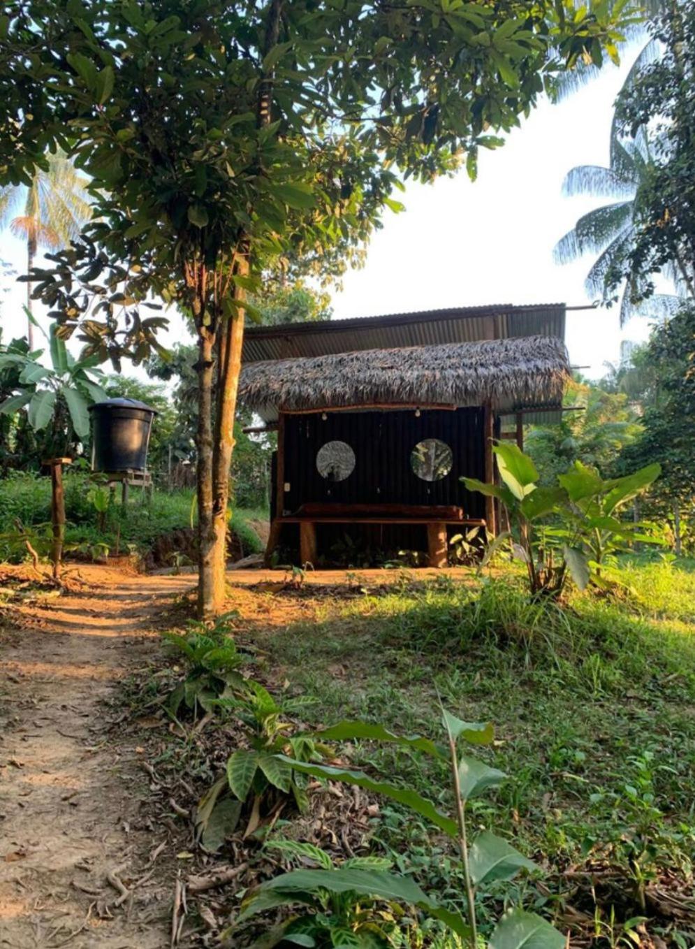 Jungle Cabin - Satori Natural