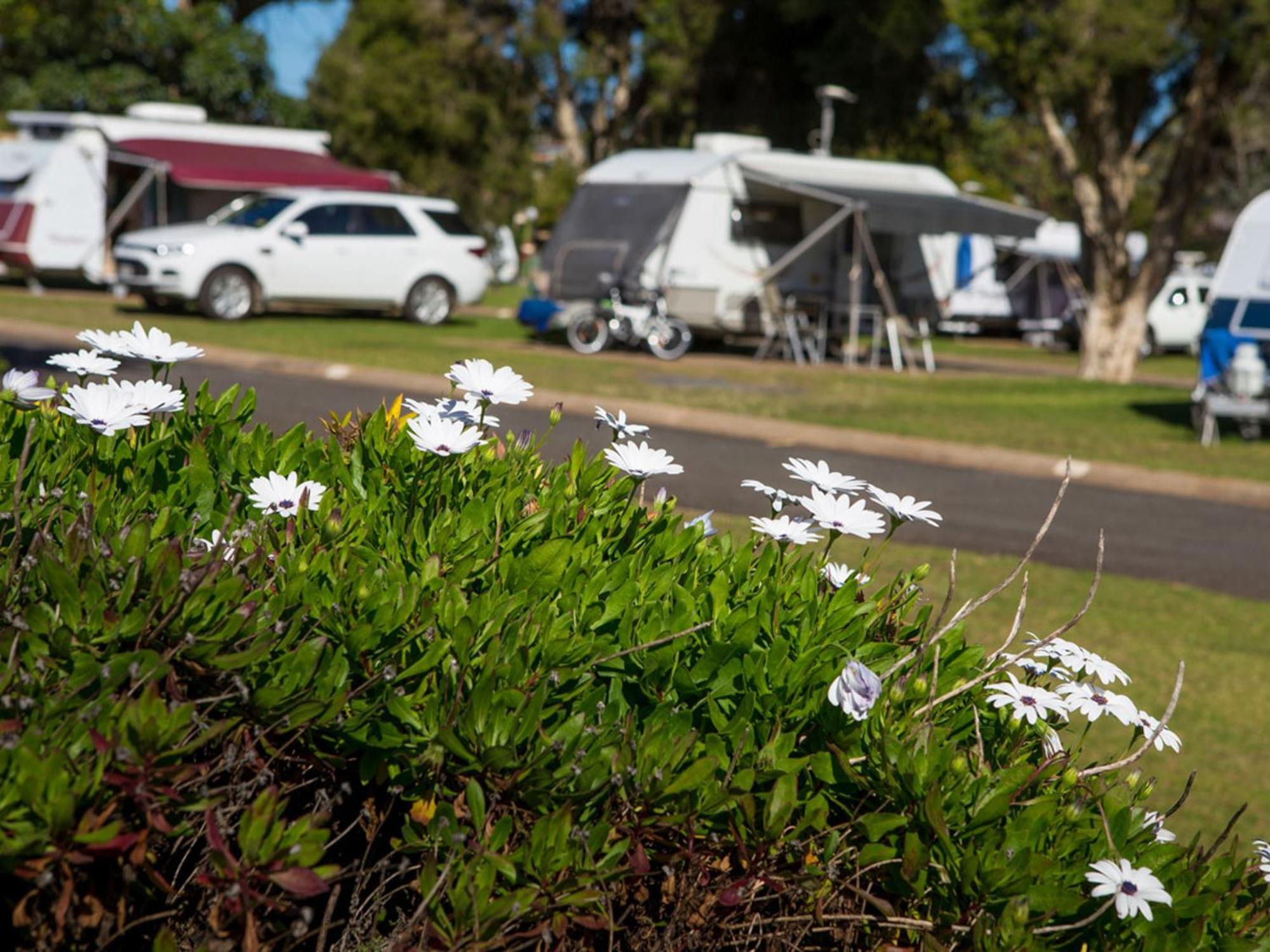 Toowoomba Caravan Park