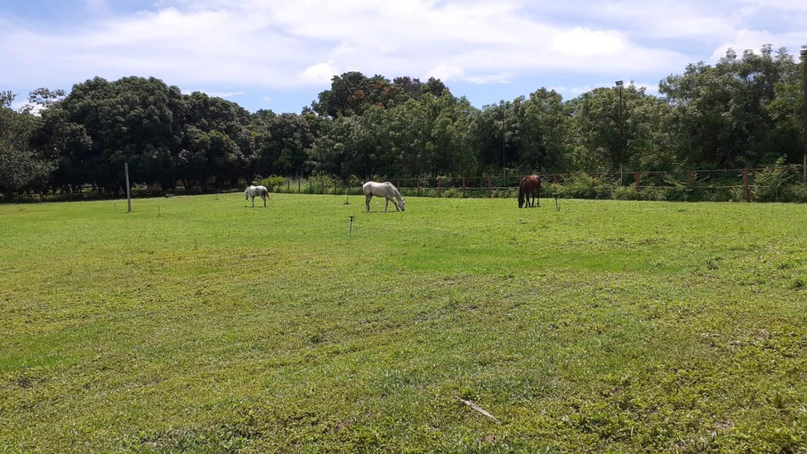 Sítio Lazer Família Boleta