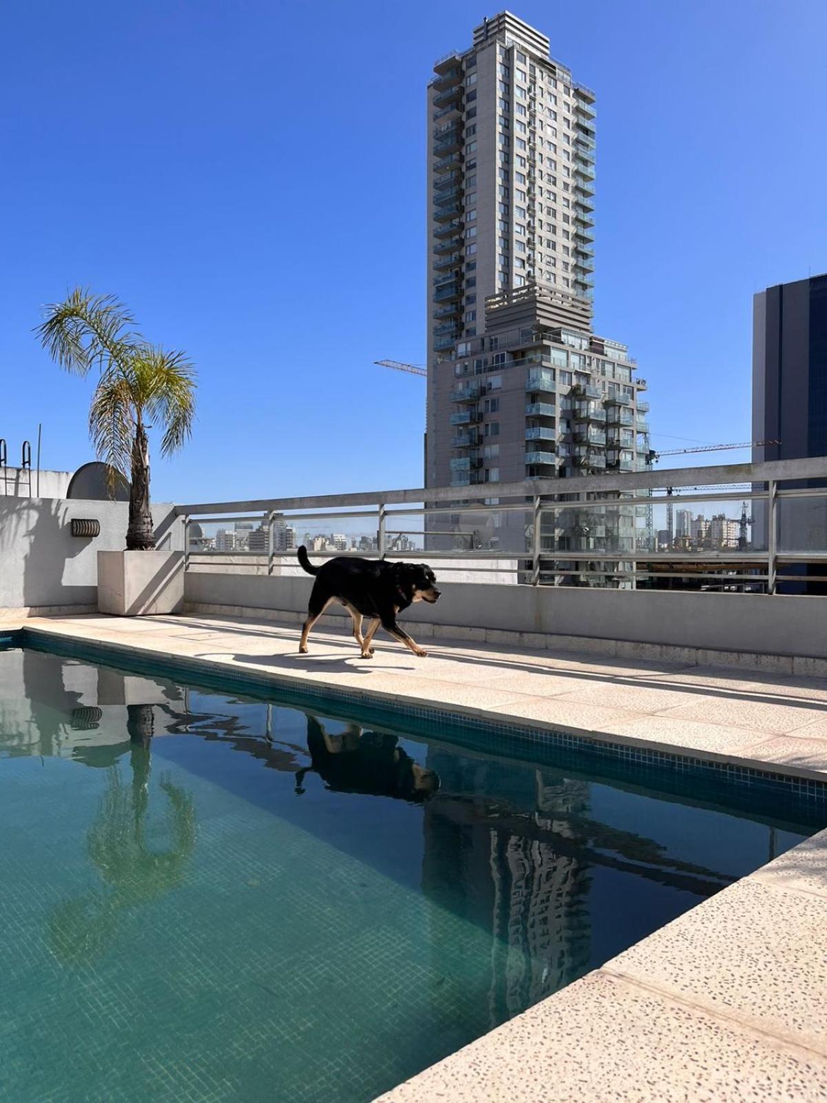 Ibera Apartamento