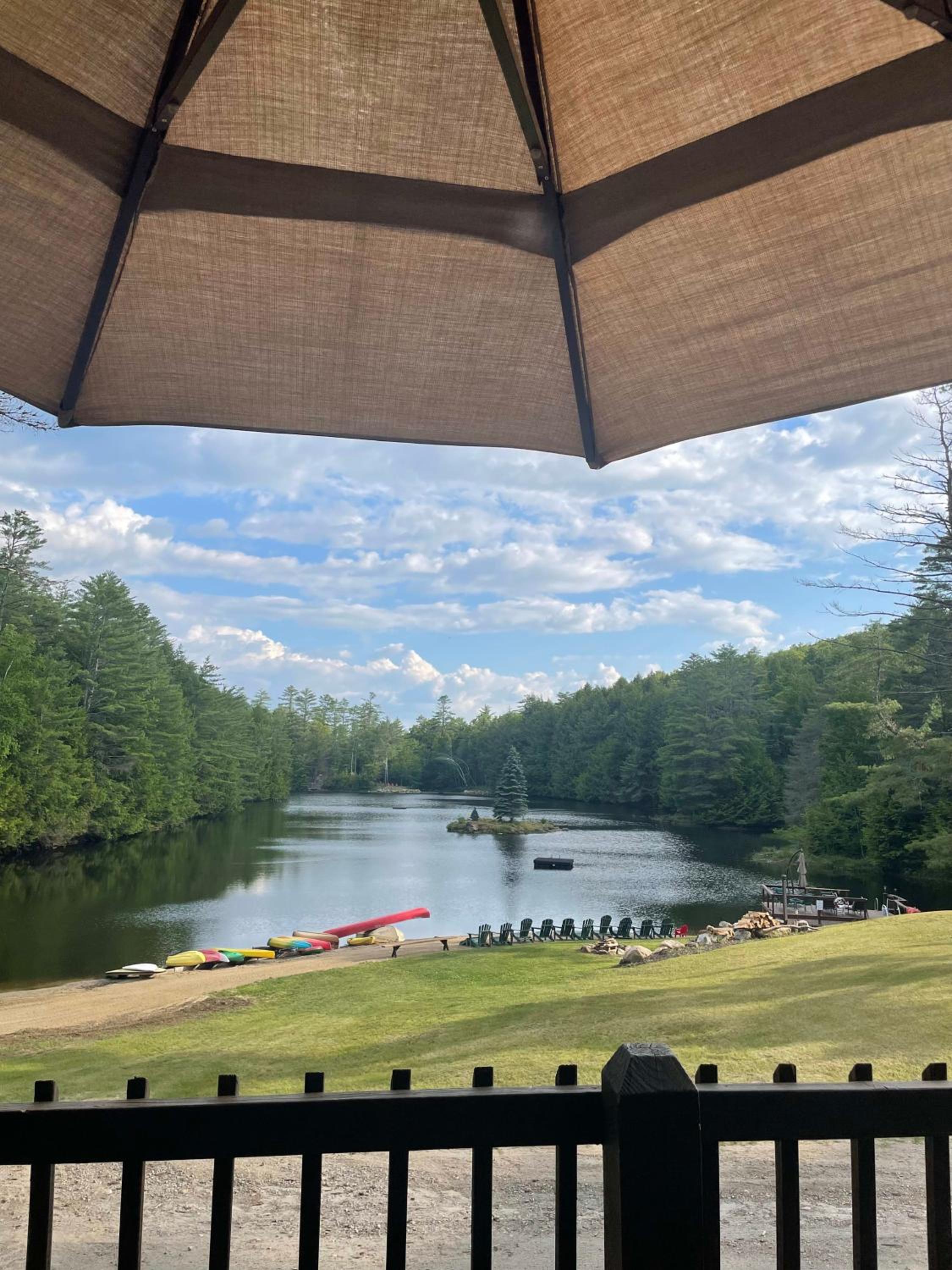 Photo 41