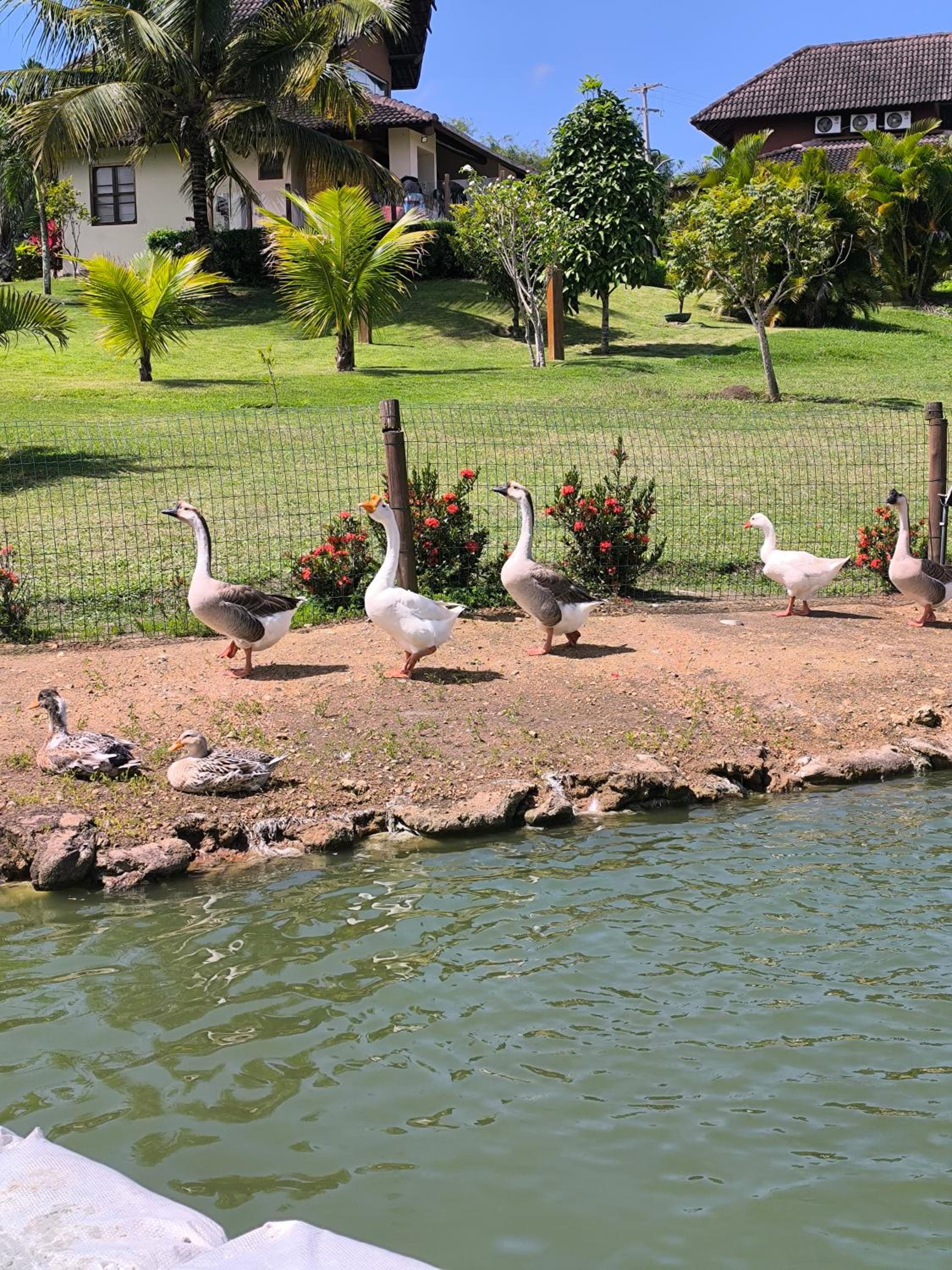 CantinhoAbençoado716 - Flat no Winterville Gravatá - Piscinas Aquecidas, Lago e Parquinhos
