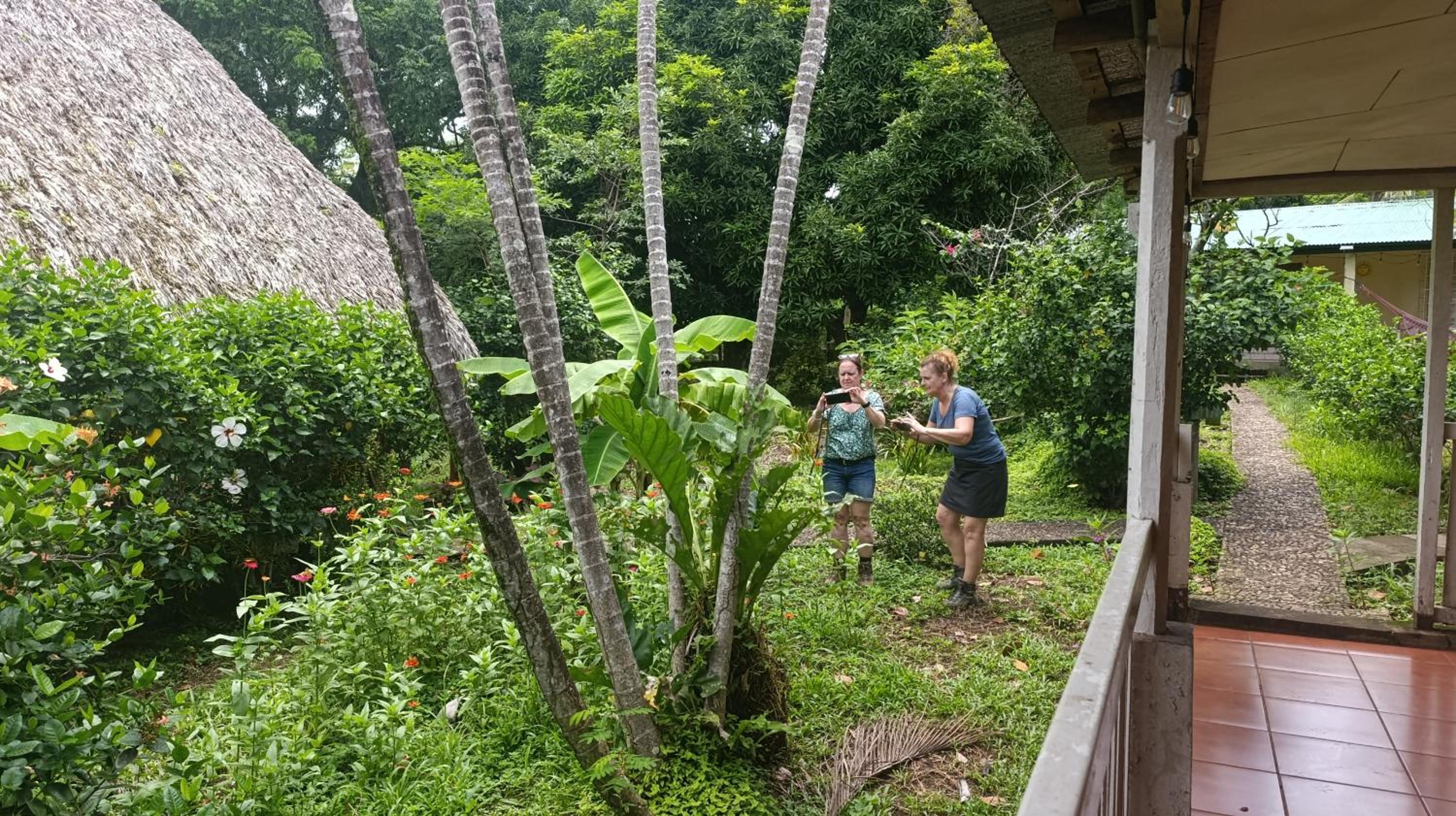 Eco-Lodge El Porvenir. view 5