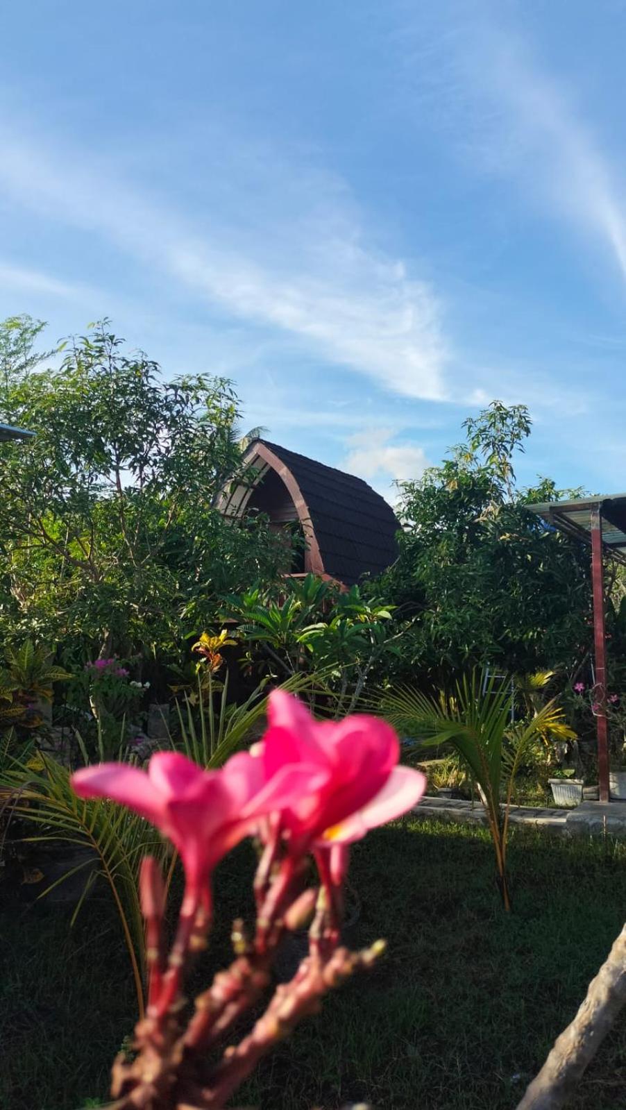 Side house