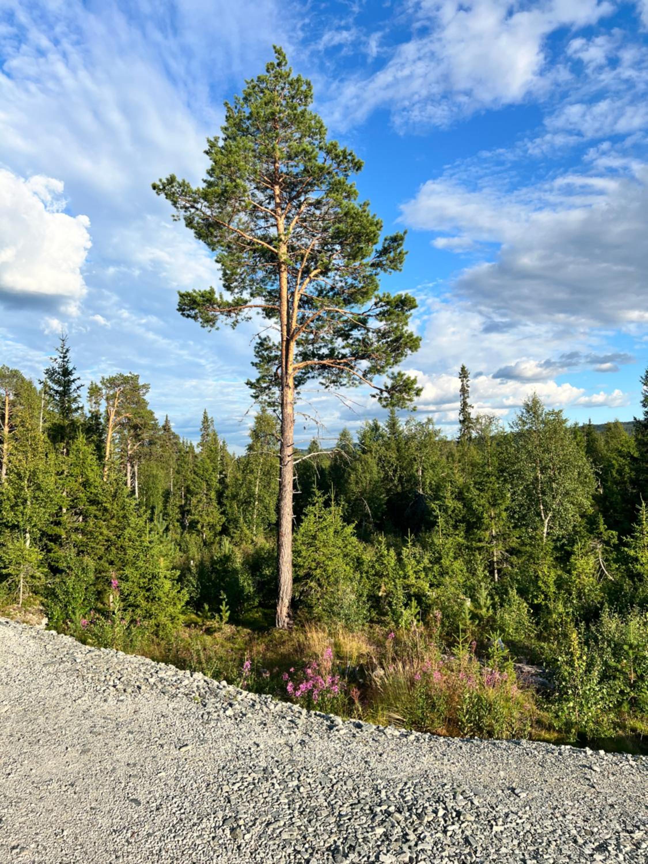 Photo 26