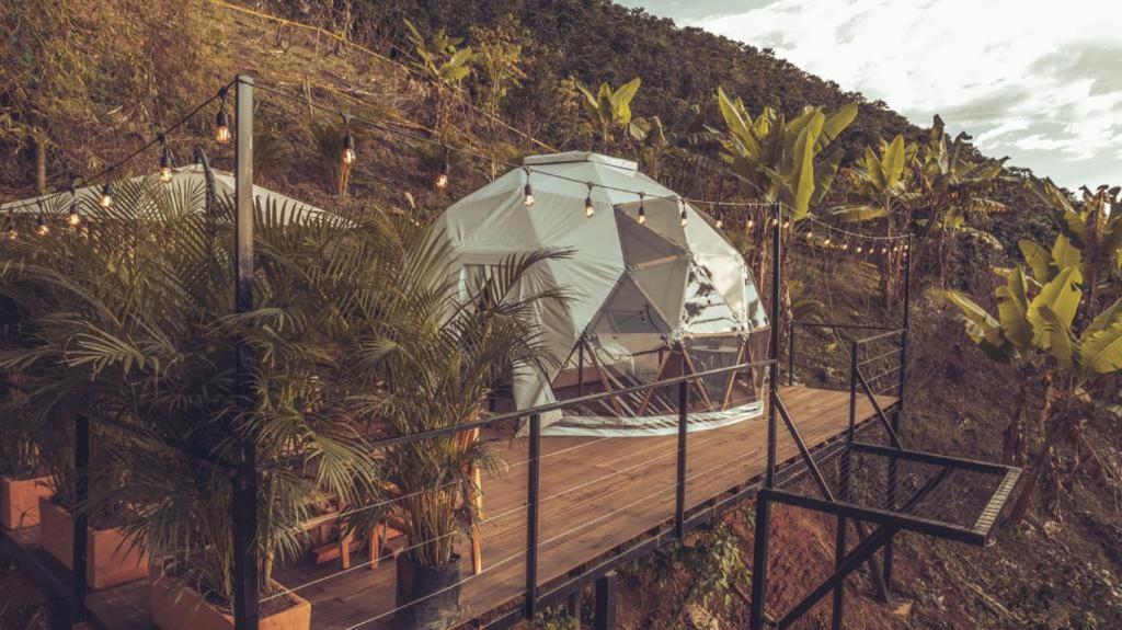 Zielo glamping