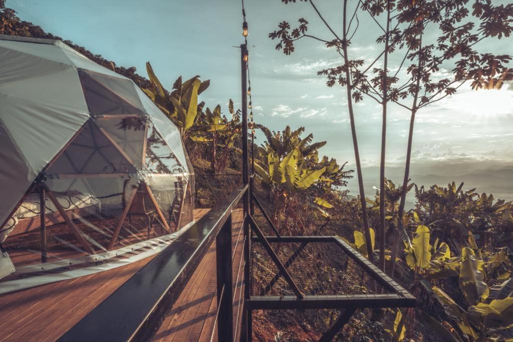 Zielo glamping
