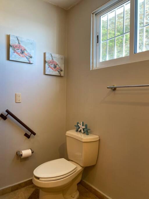 Photo 41
