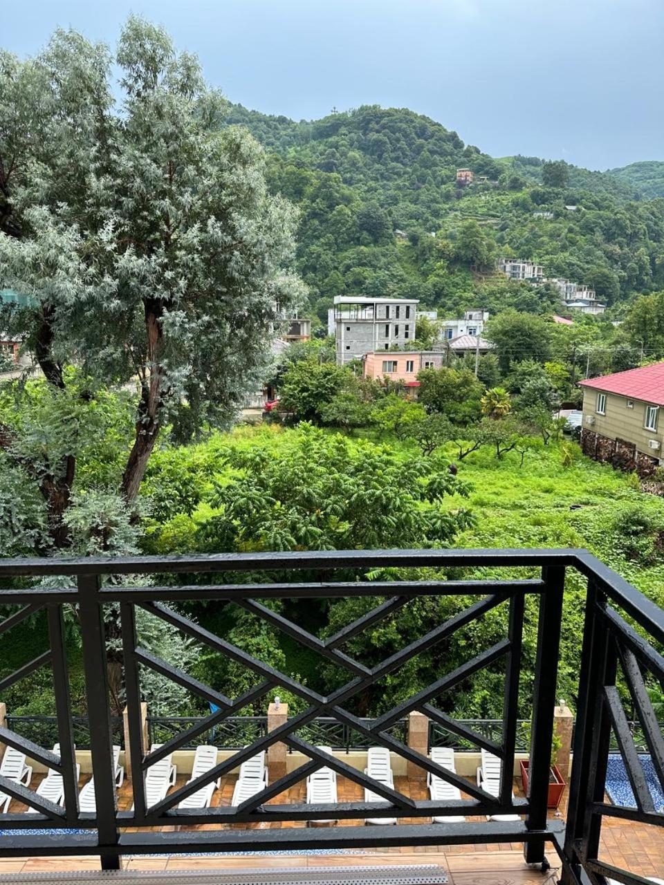 nateli sakhli Gonio view 3