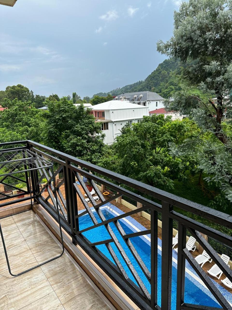 nateli sakhli Gonio view 4