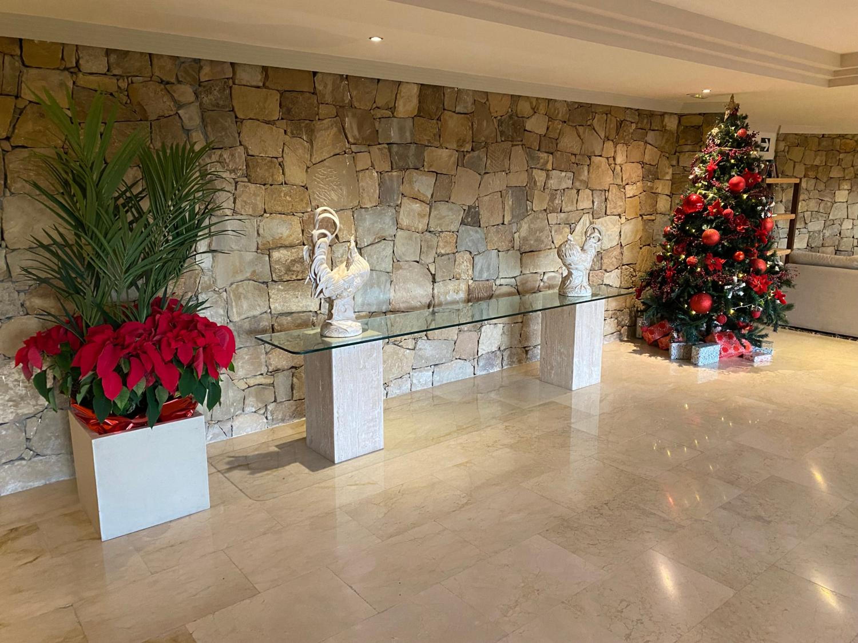 recepcion & lobby