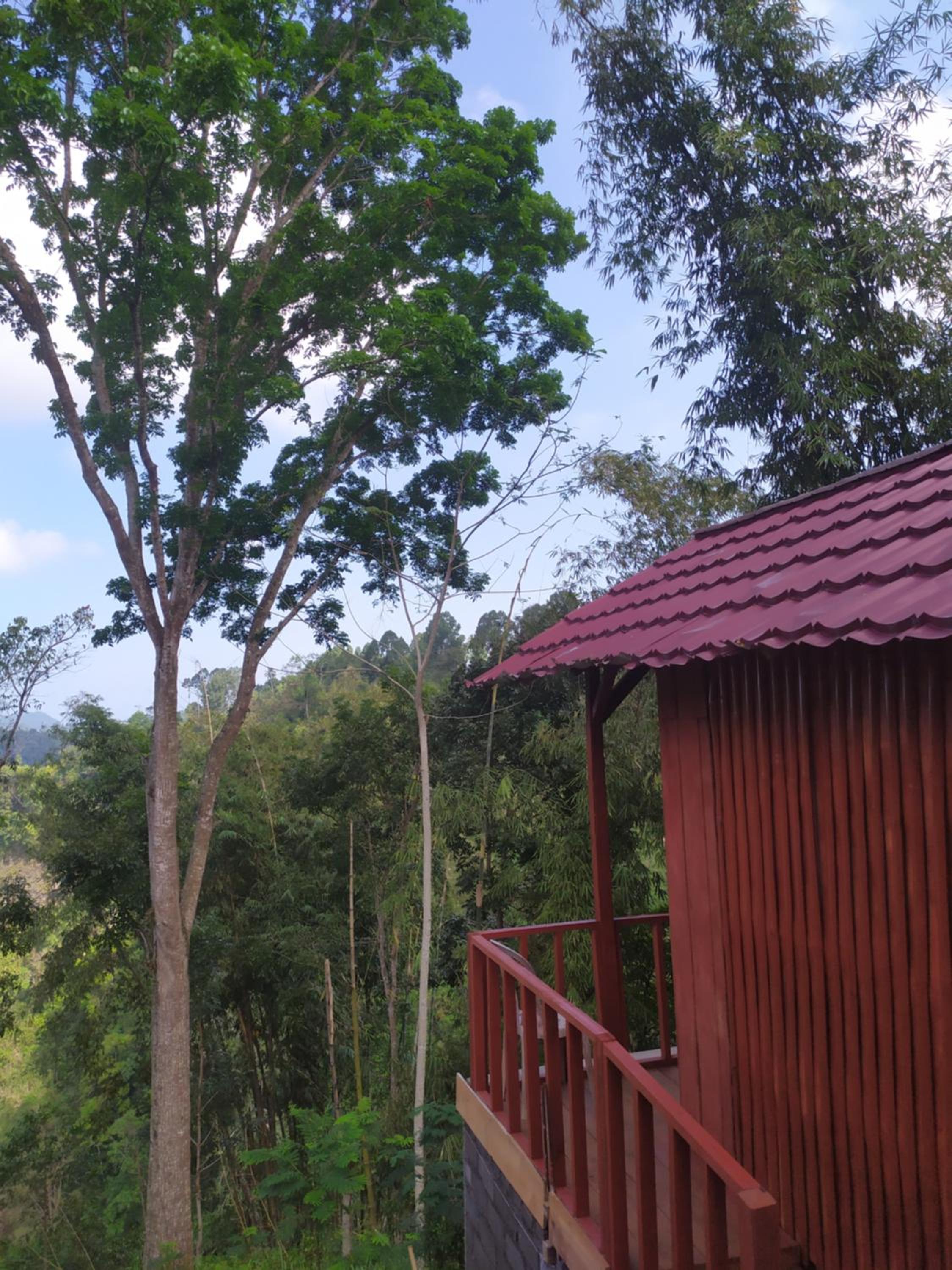 Happy Monkeys Village