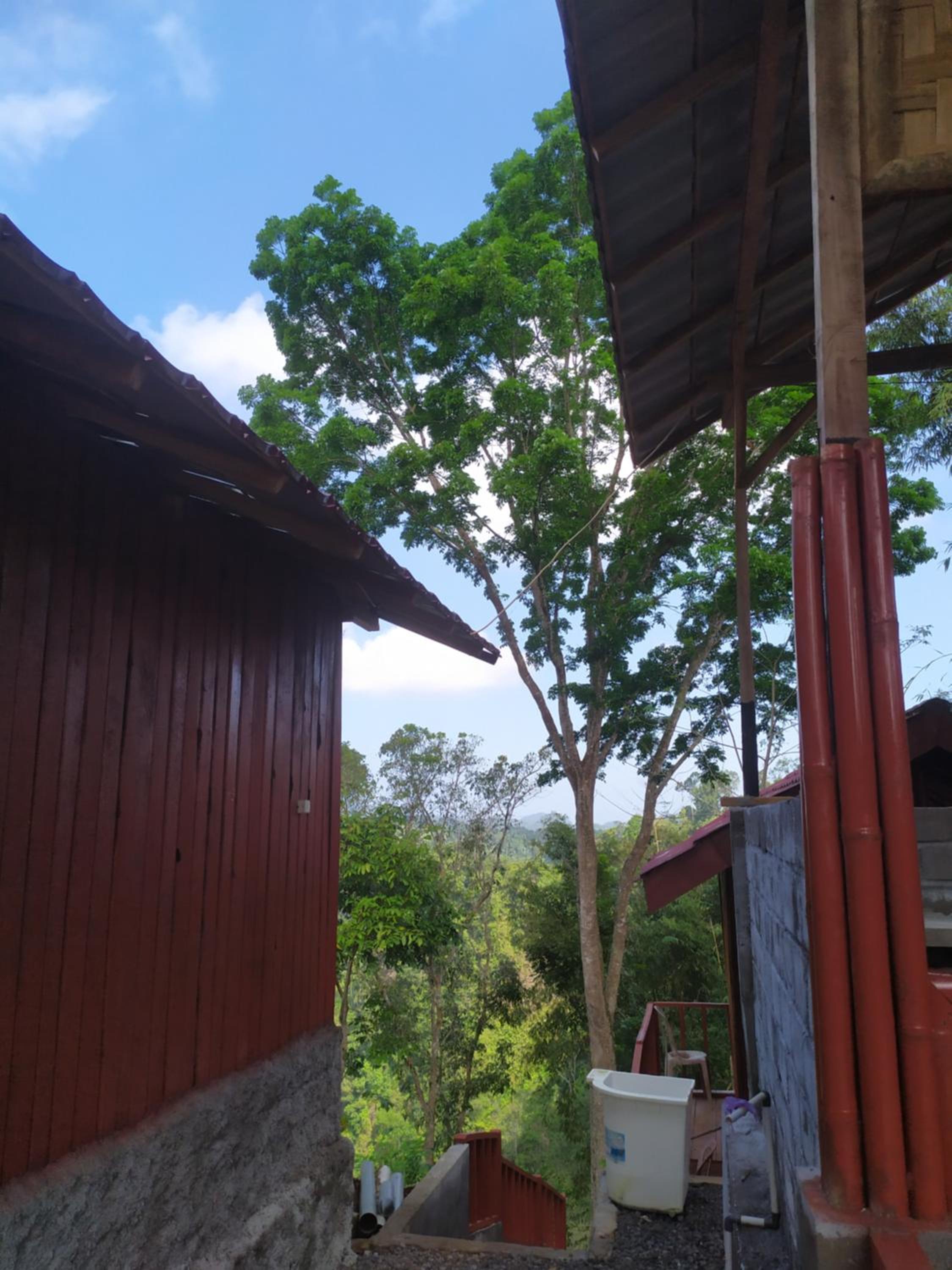 Happy Monkeys Village