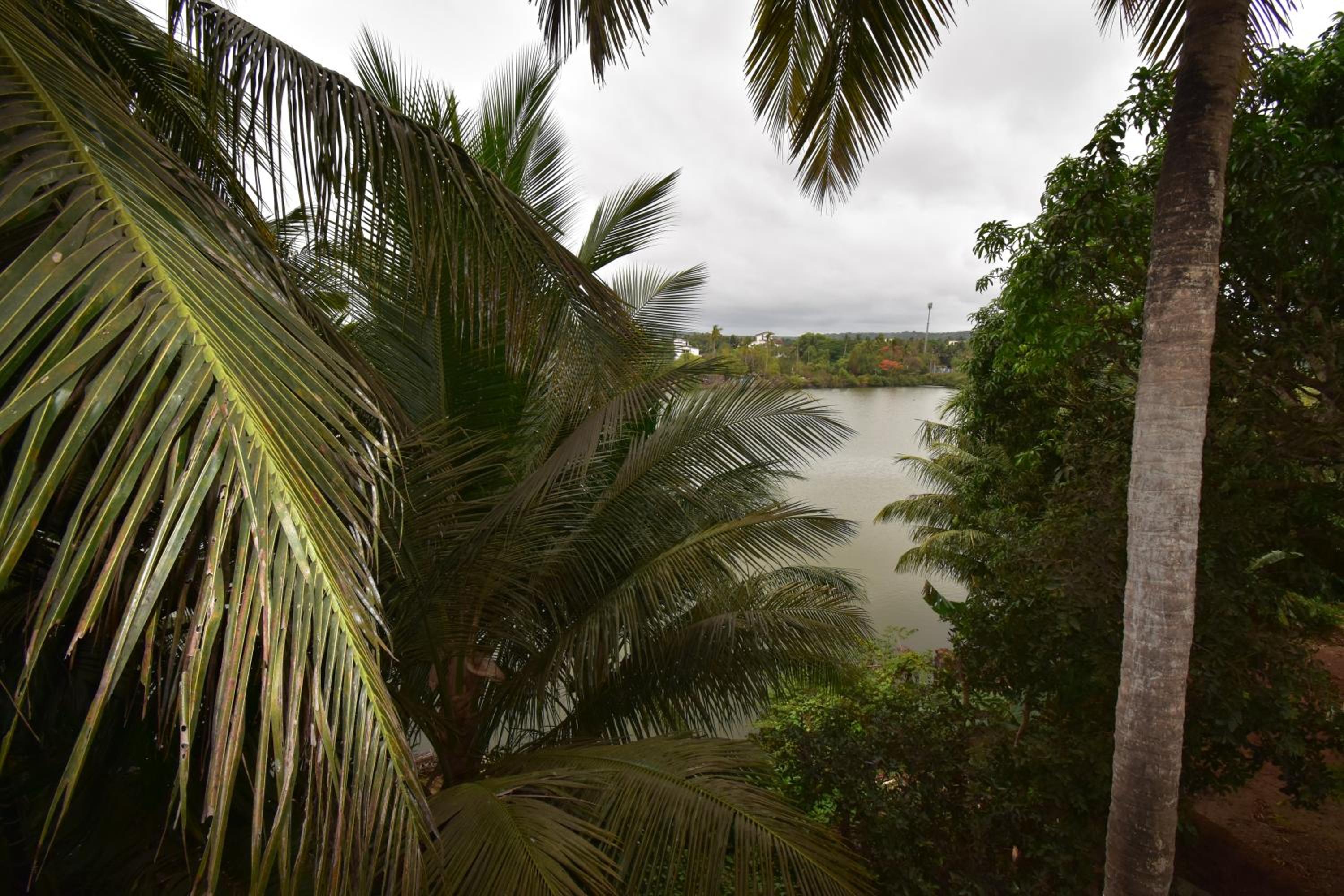 Hallow Calangute GOA