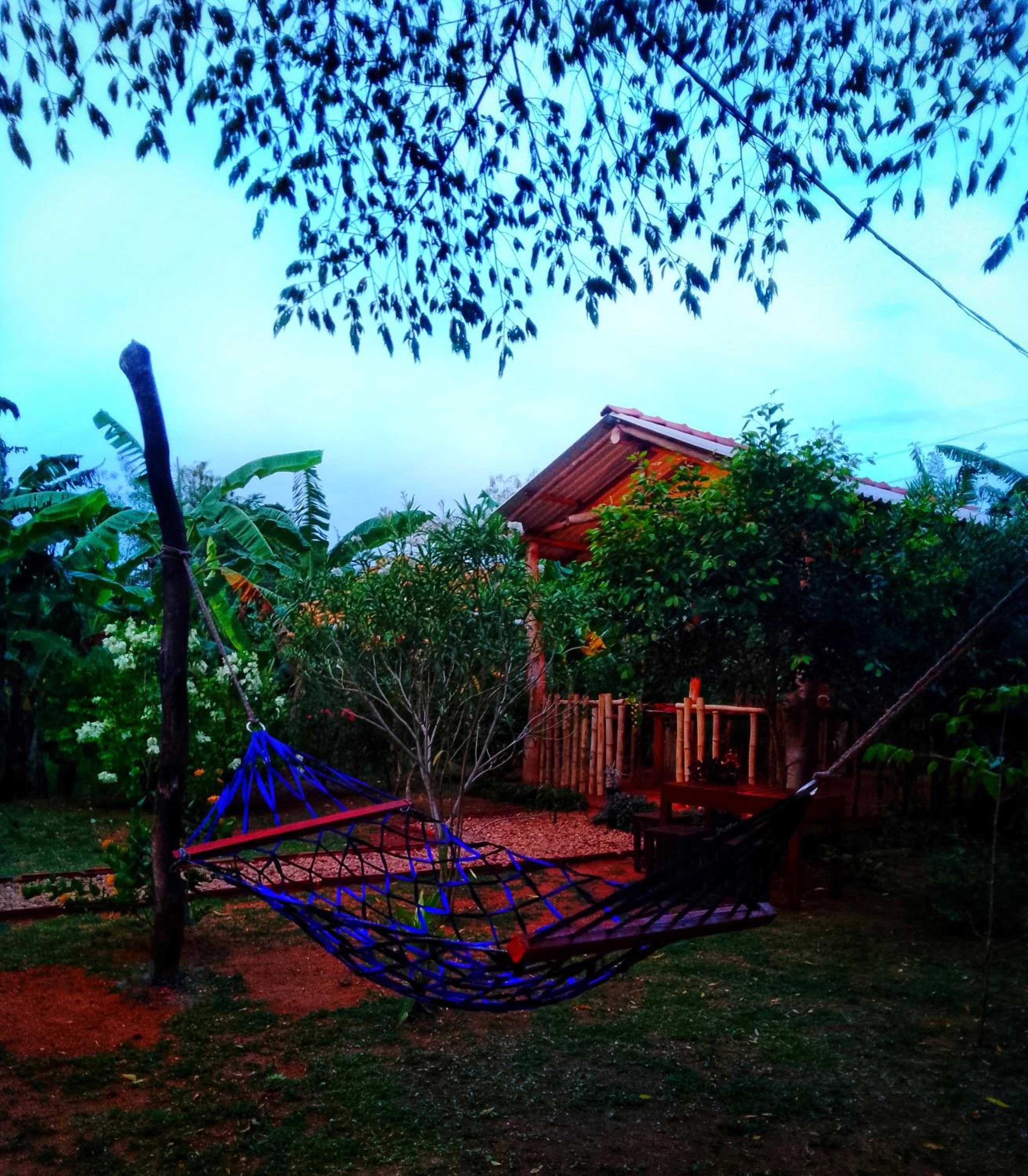 Banana Shade Cottage