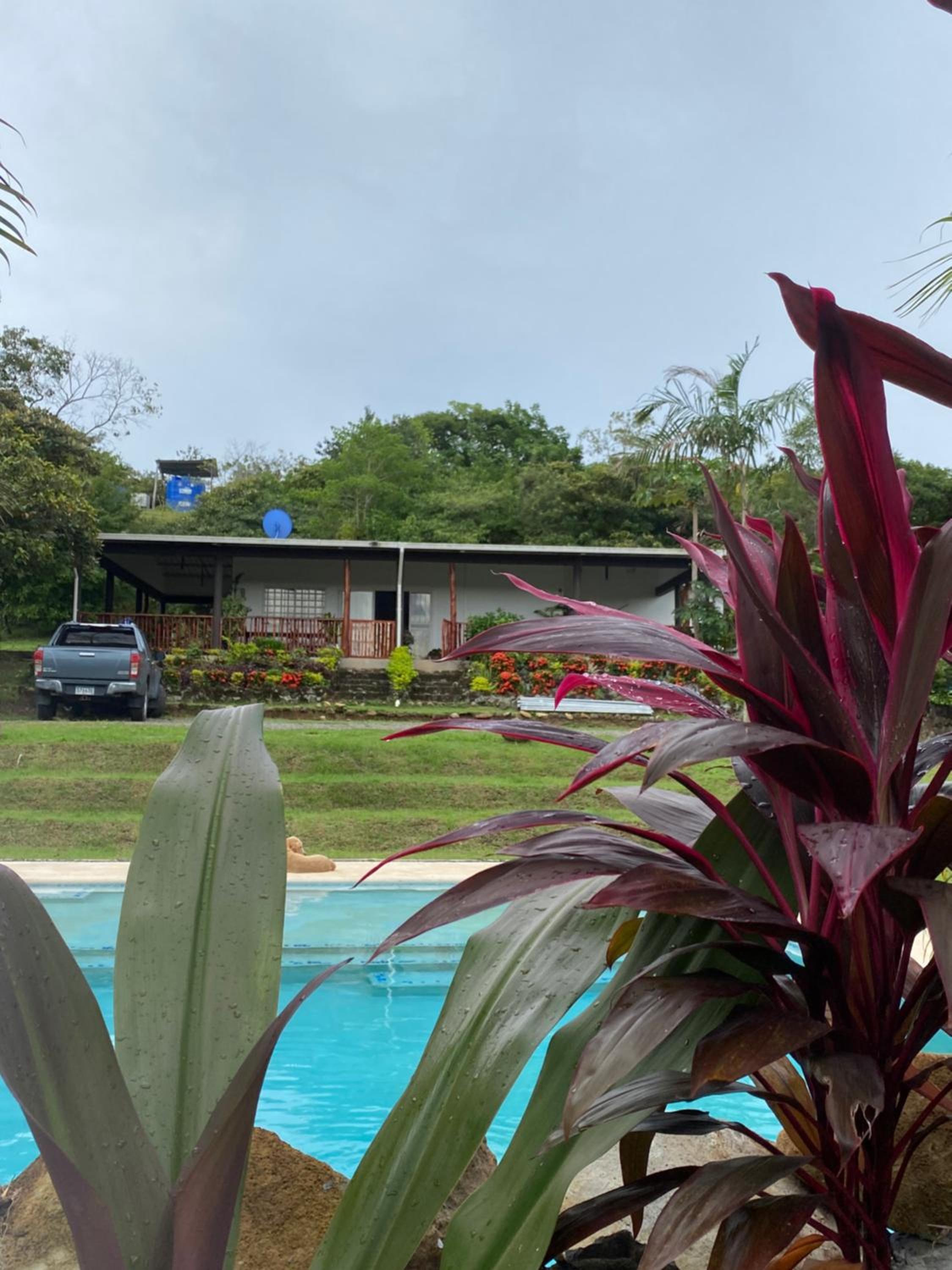 San carlos Finca Monte Alegre
