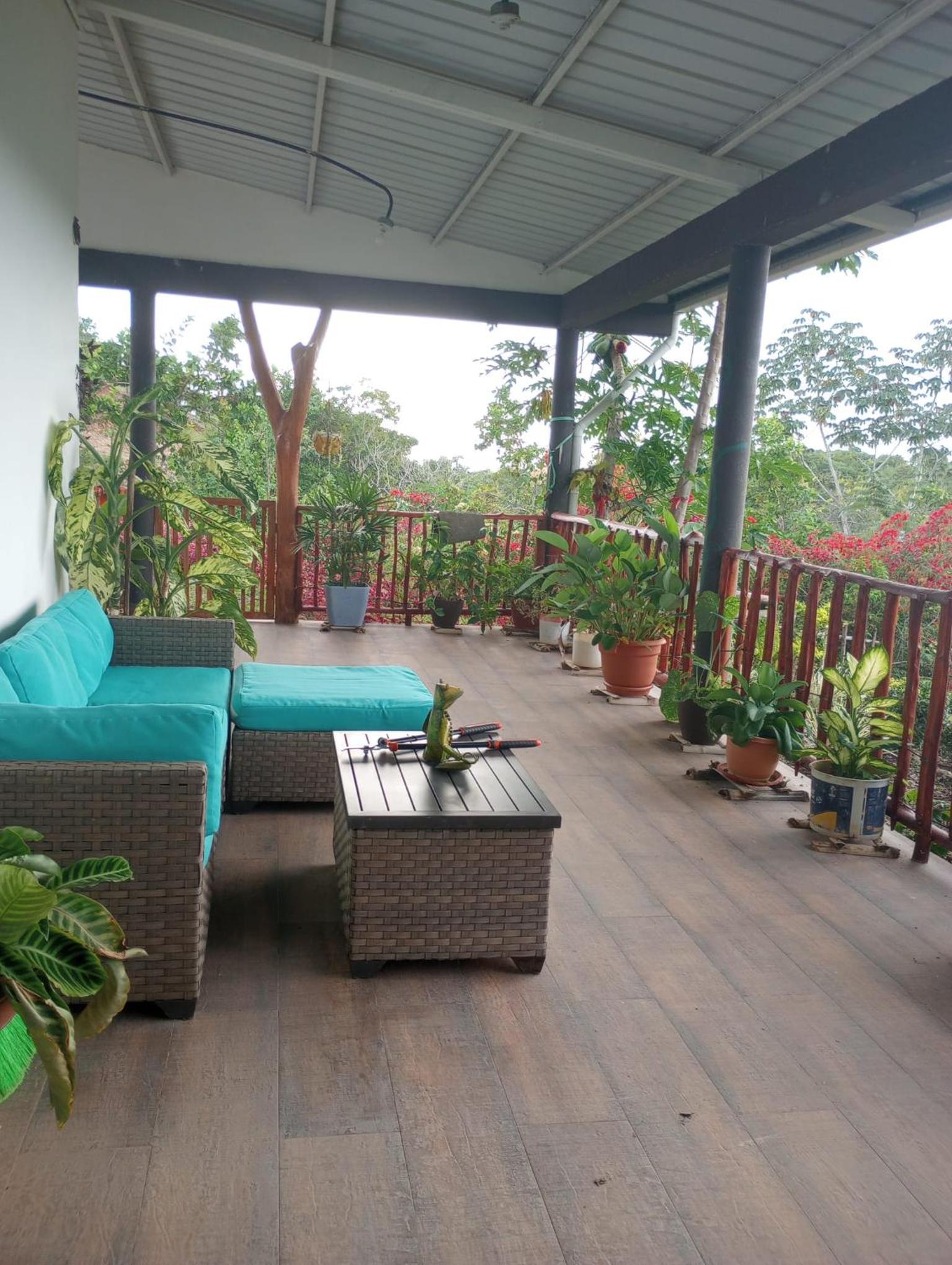 San carlos Finca Monte Alegre