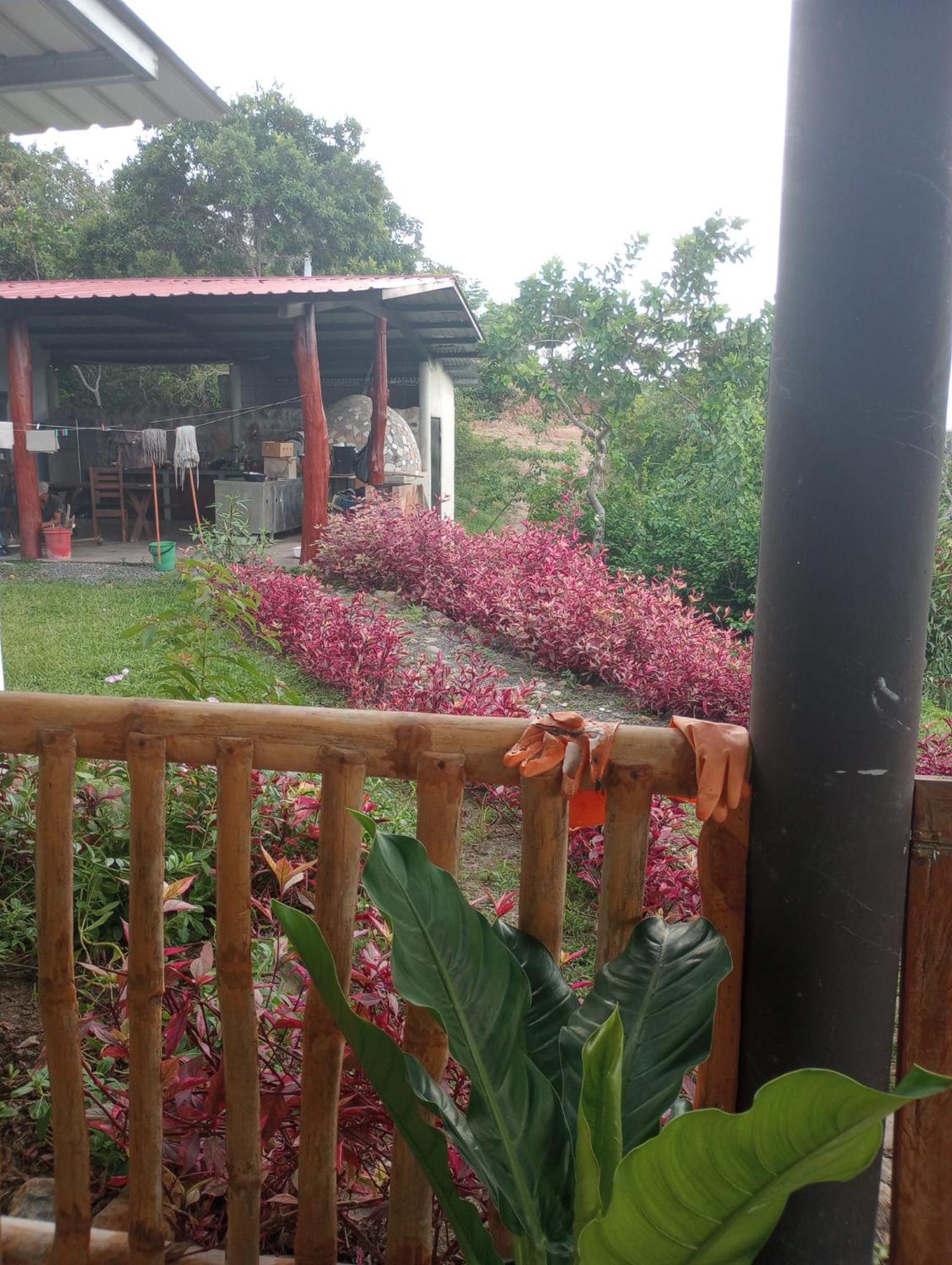 San carlos Finca Monte Alegre