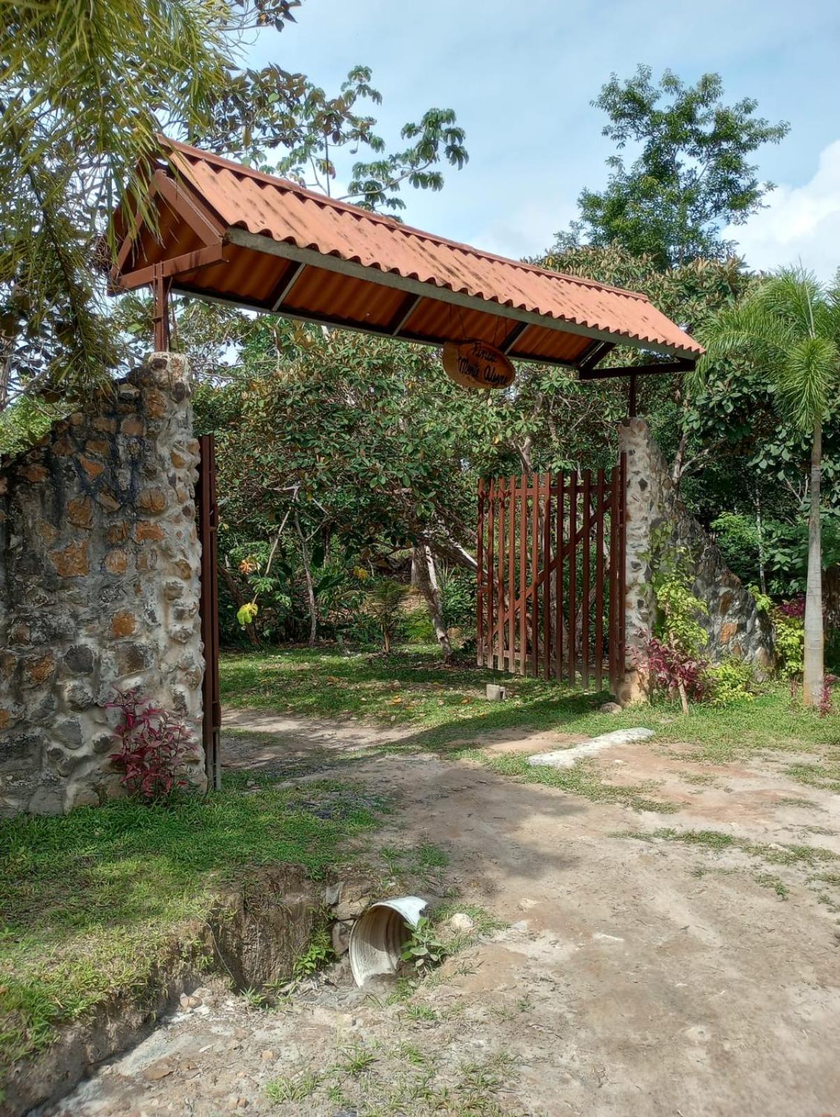 San carlos Finca Monte Alegre