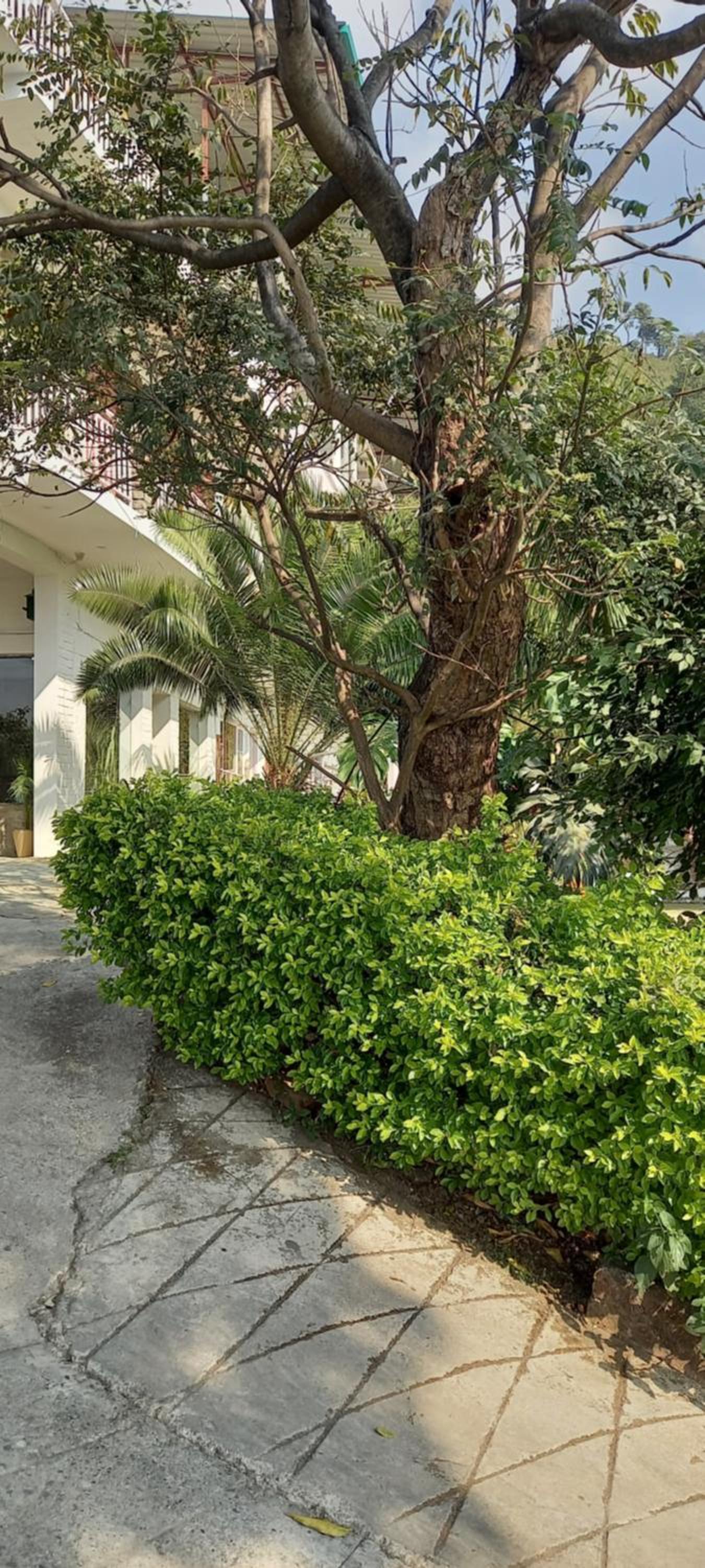 Hilltop homestay
