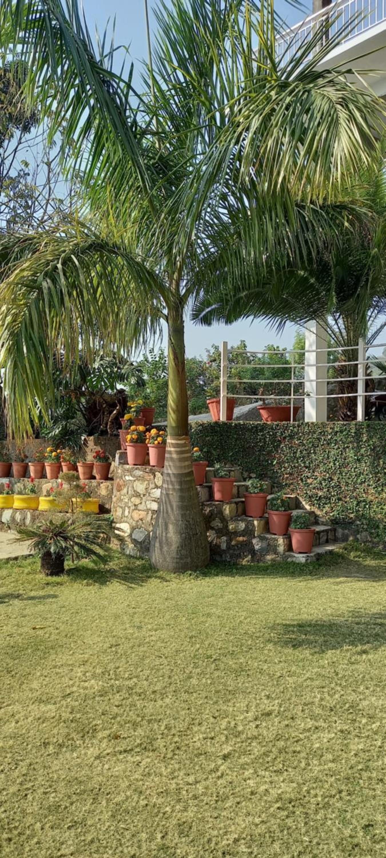 Hilltop homestay
