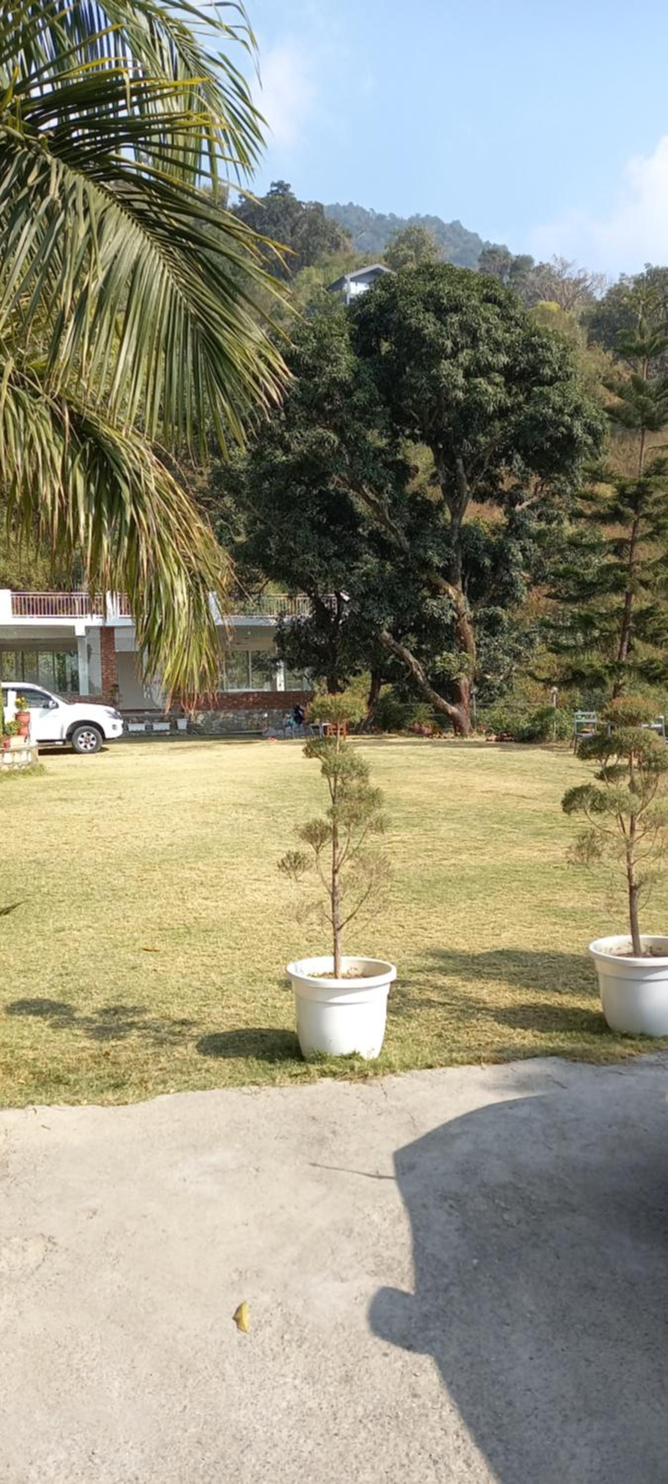 Hilltop homestay