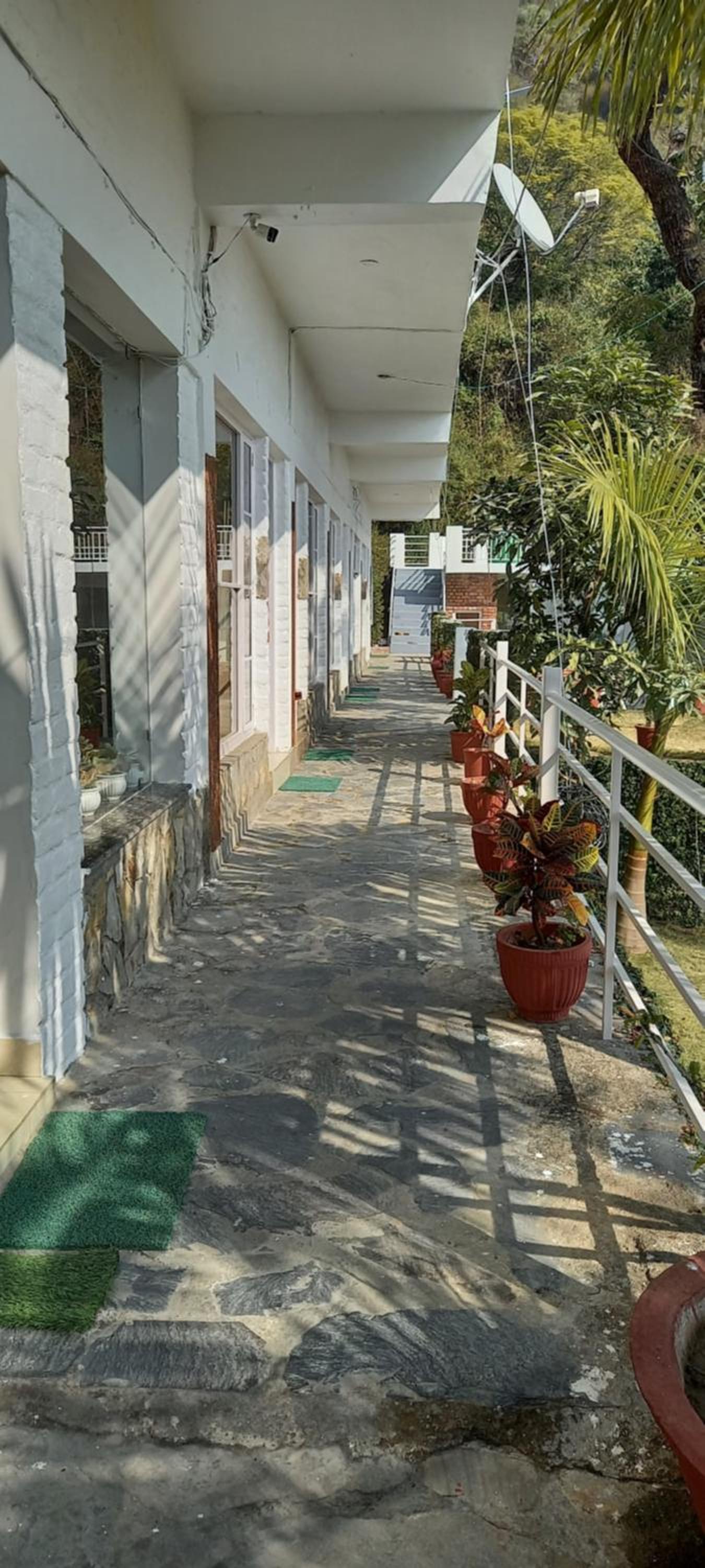 Hilltop homestay