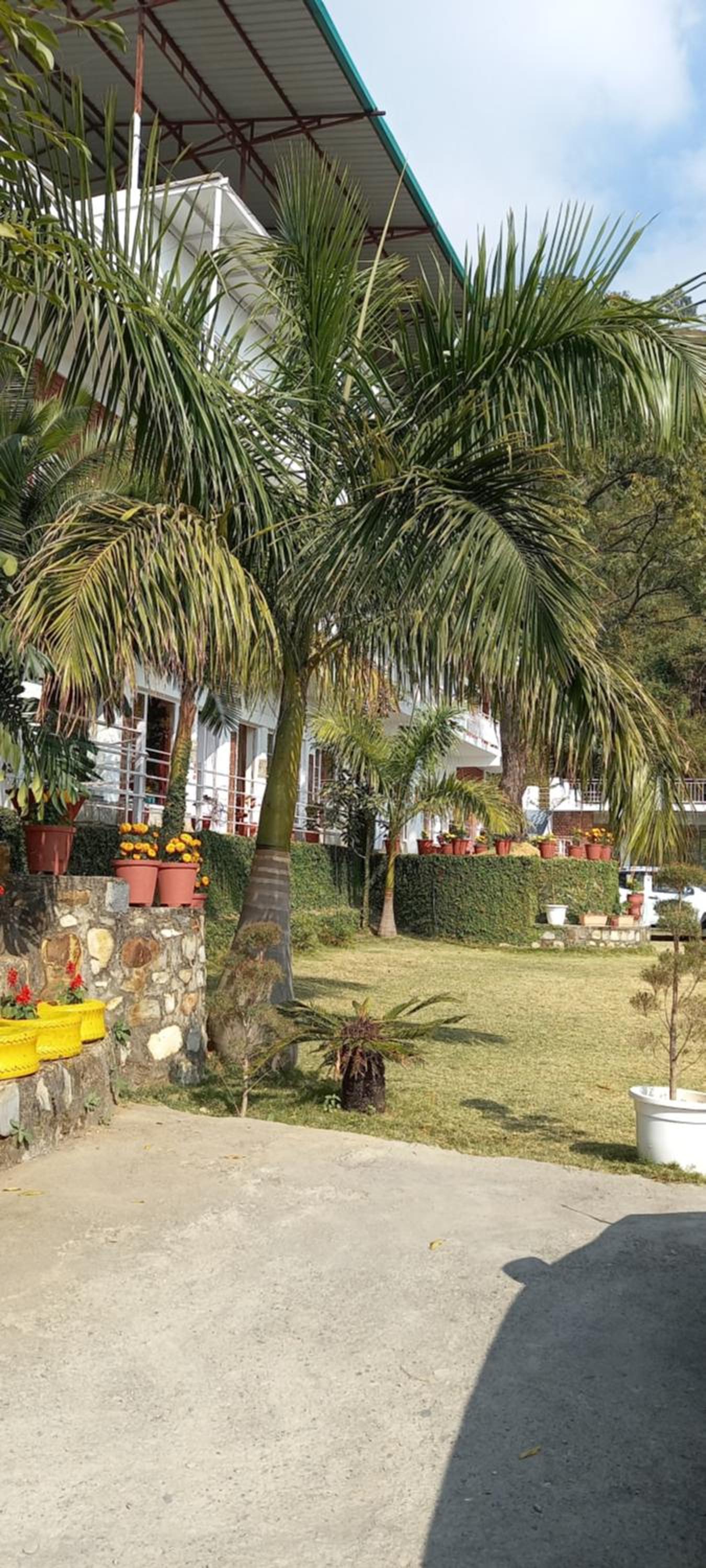 Hilltop homestay