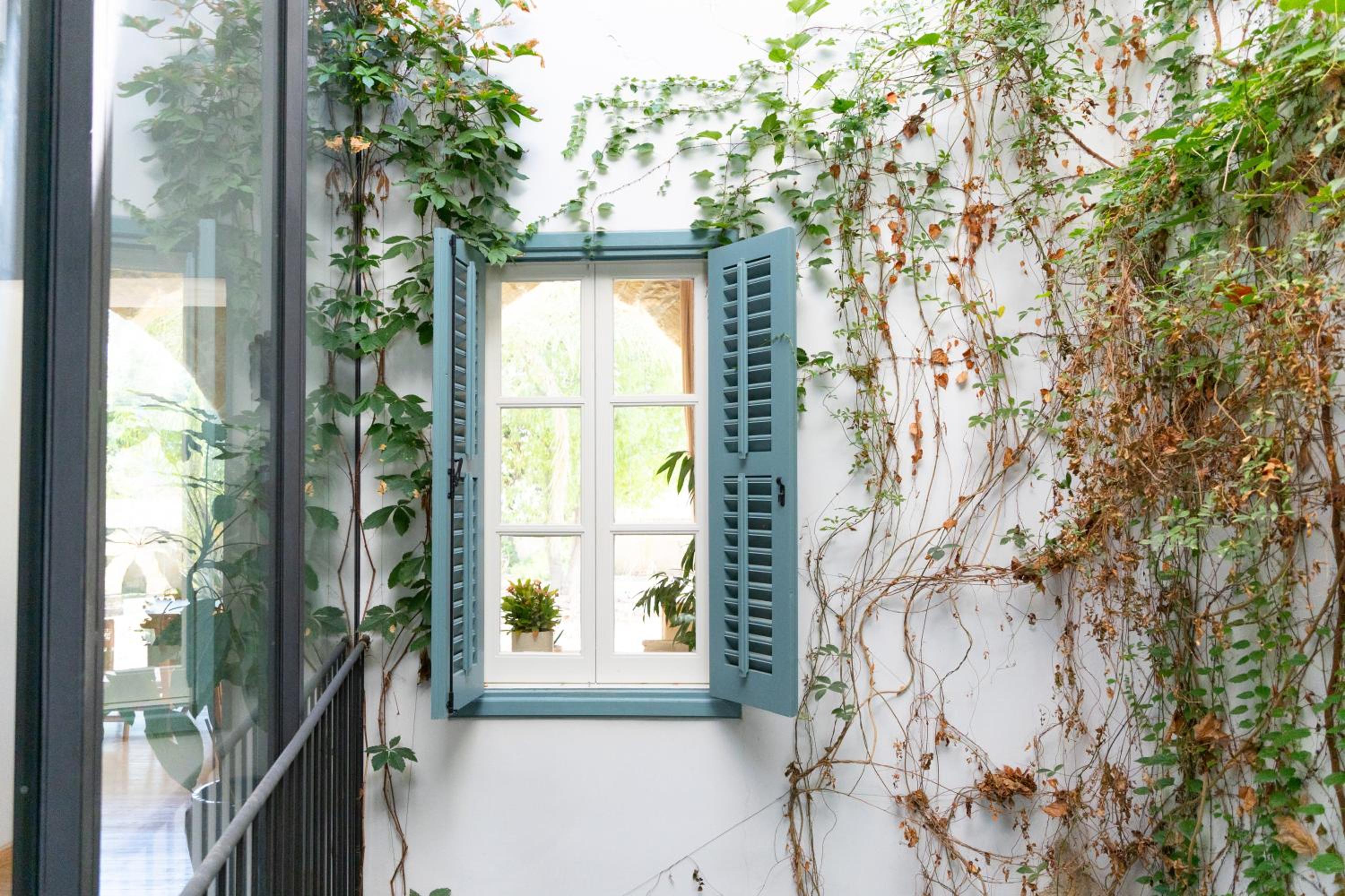 1927 Heritage House - Indoor Garden , Old City