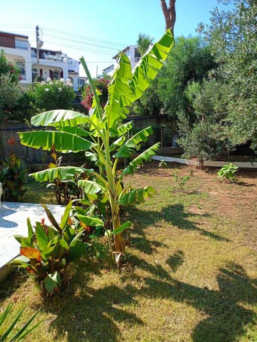 Çeşme Ildırda Deniz Manzaralı Villa view 5
