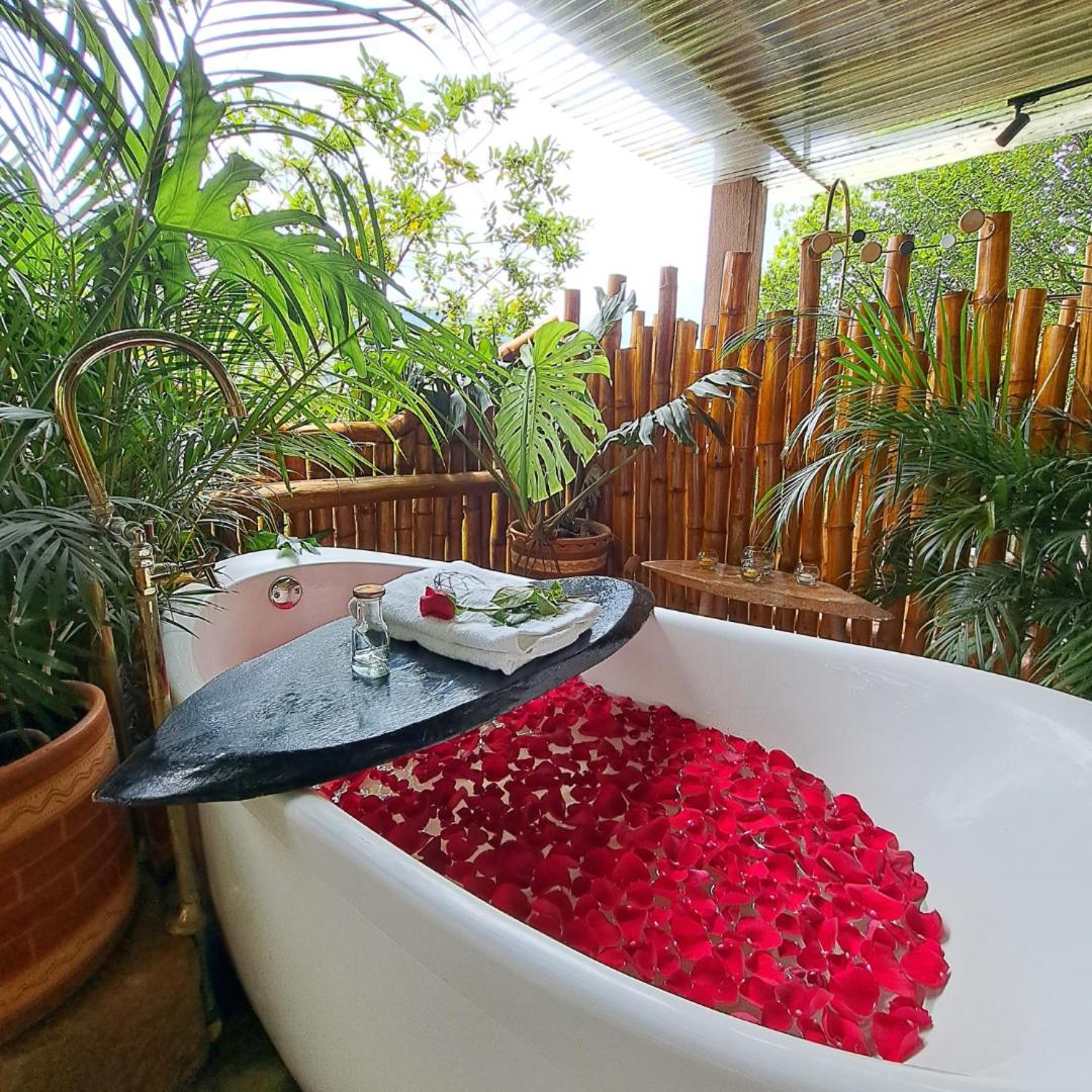 The Luxury Glamping Star